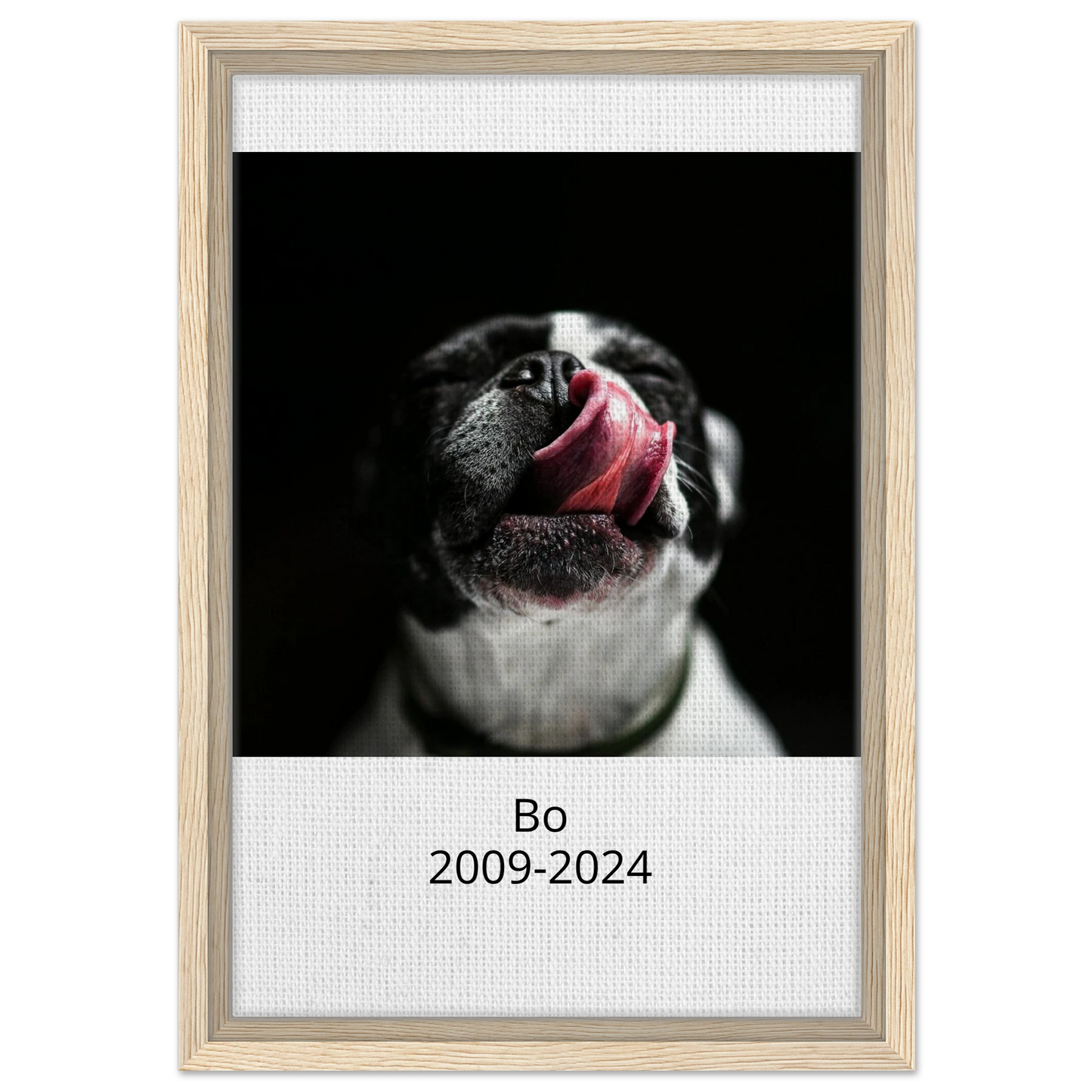 092e2267-b378-46e3-b320-dd27f89d157b
