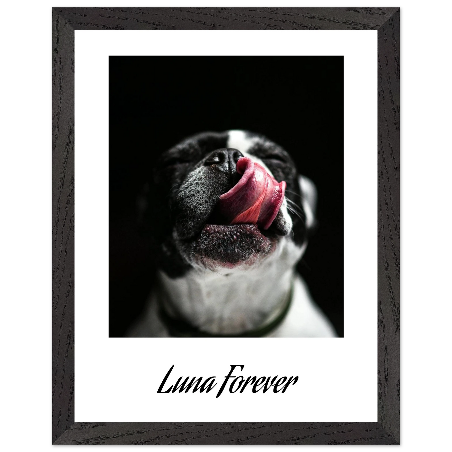 15ebe60f-f62b-441e-bdb6-a20b6aad412a