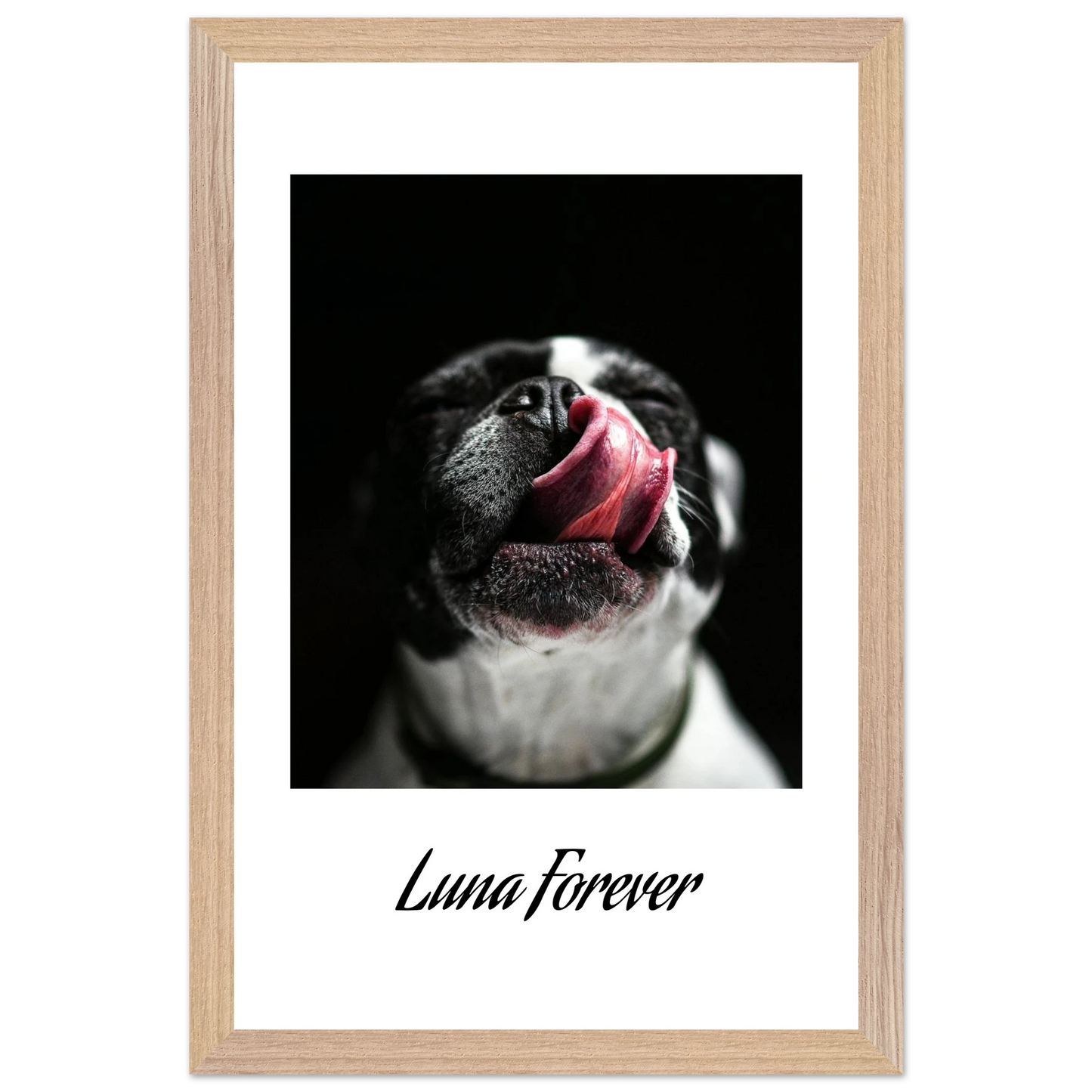 1871d99d-4334-4406-920f-0b81446864c0