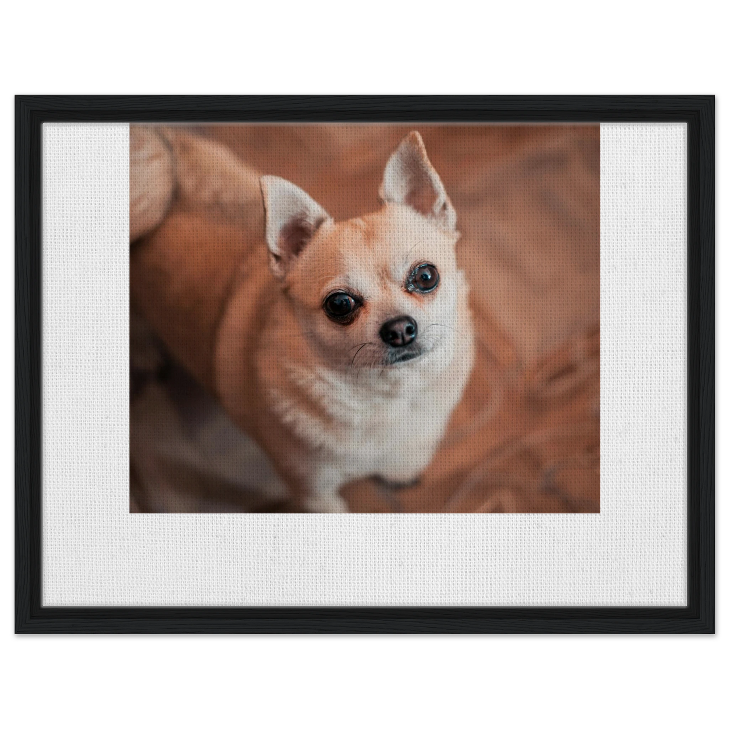 1f981fdc-dd0c-4980-bd9d-af8aed87a7f1