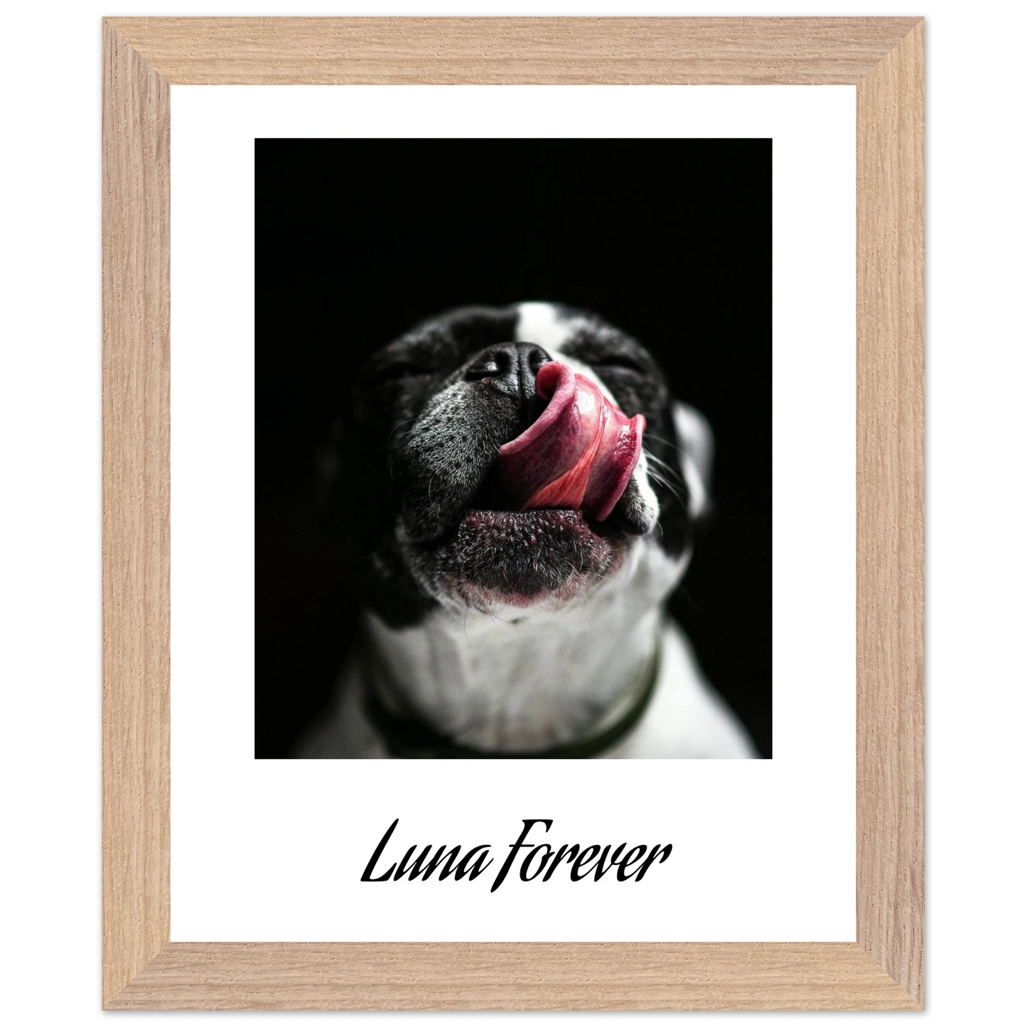 2a703a40-202e-46e6-91d8-adacabdd8bfa