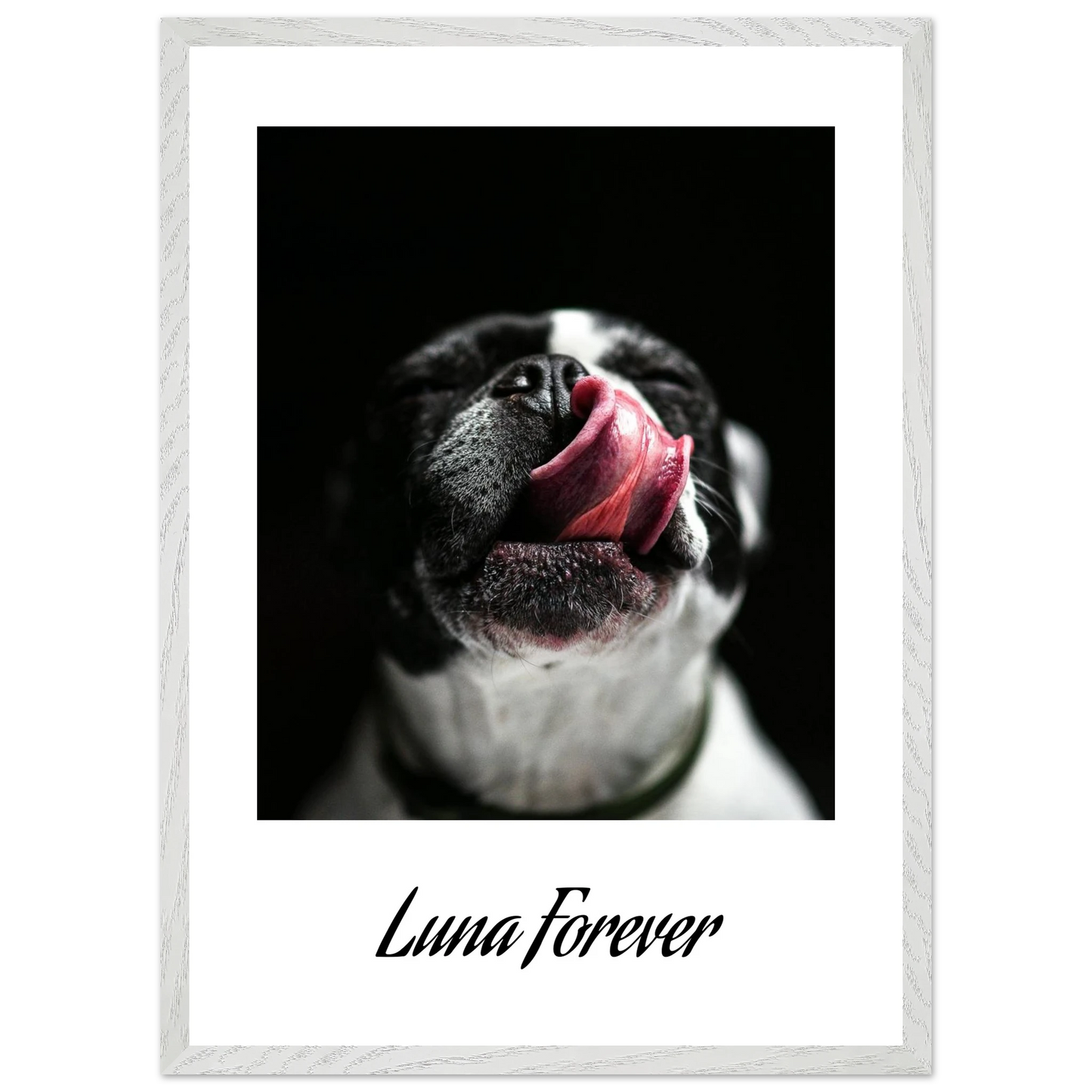 2aab6b76-c7b2-461e-982e-71250097f479