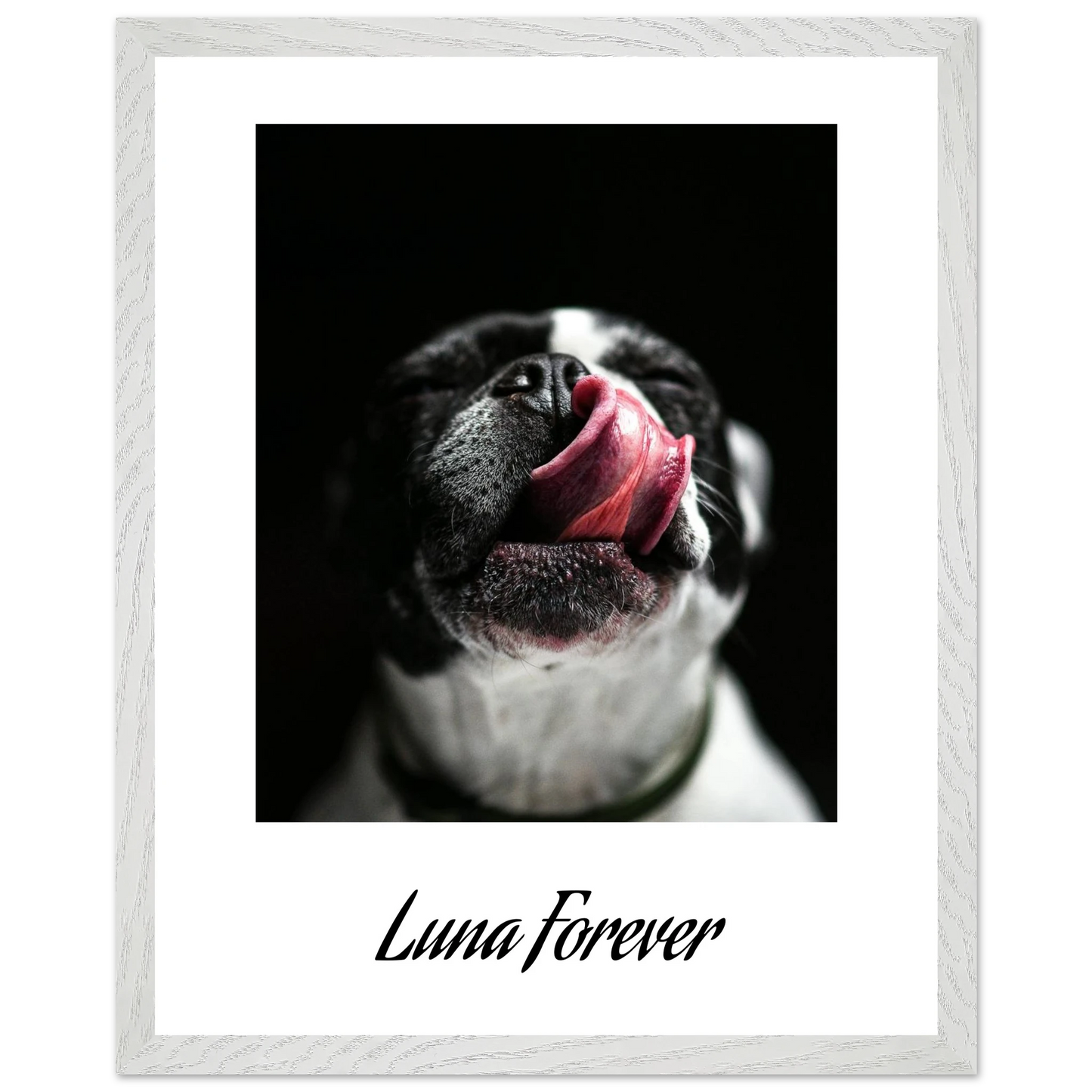 4f9b0ed7-784f-460a-b6e5-09a8361d5d7f