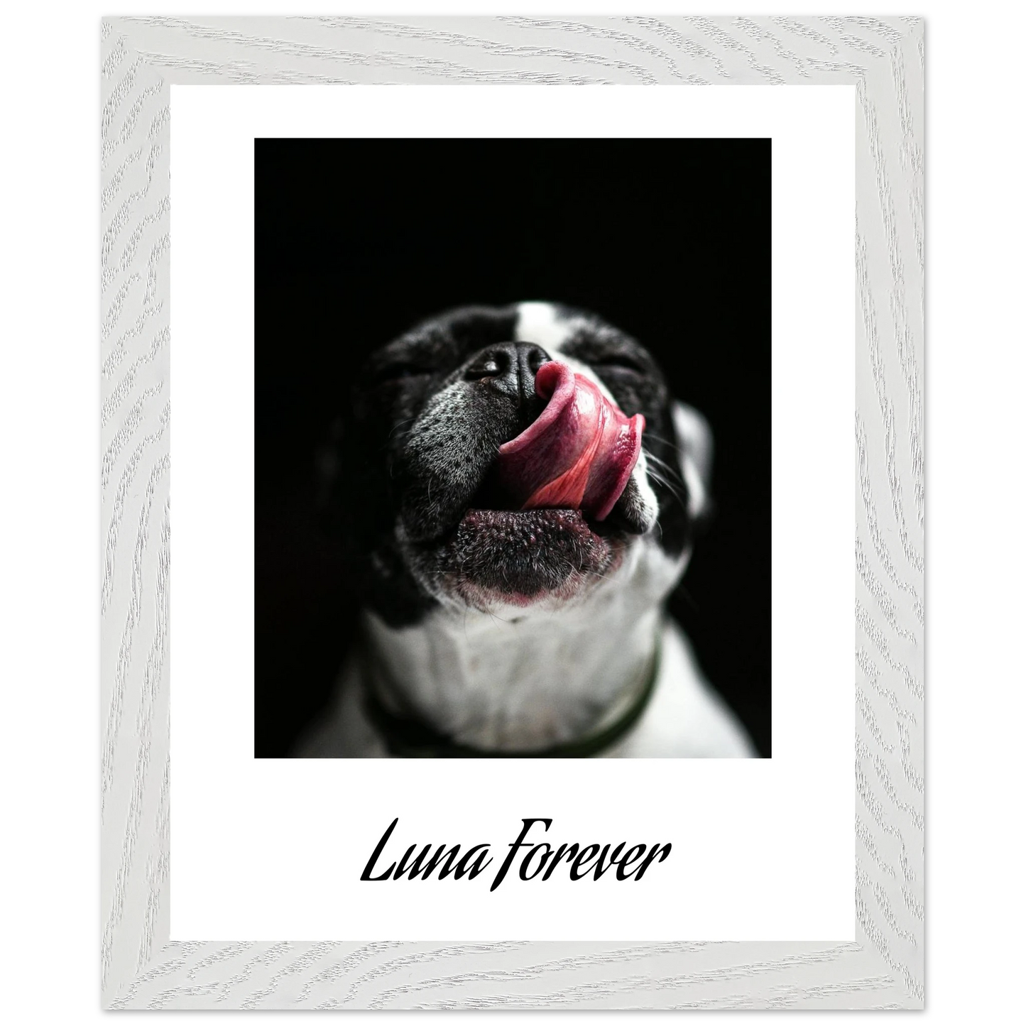 566cf5ab-2b83-4942-acd0-55953bc74d30