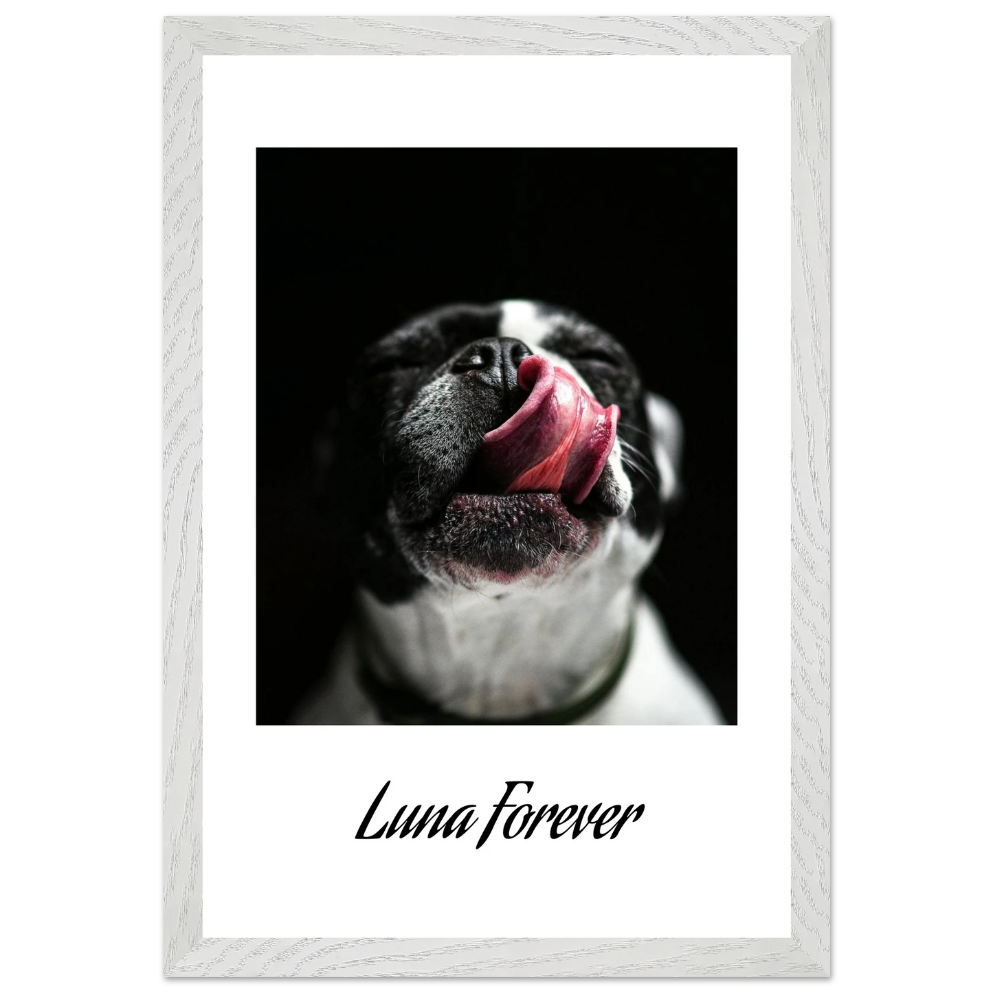 5dde10c6-8fb4-4305-9f4c-b17b88ee813f