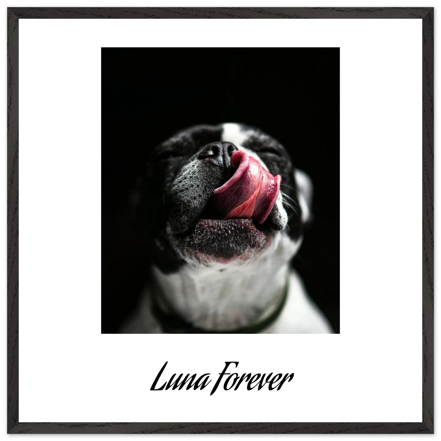 6305b7dd-197e-47d9-a0f0-63ed45fbf07f