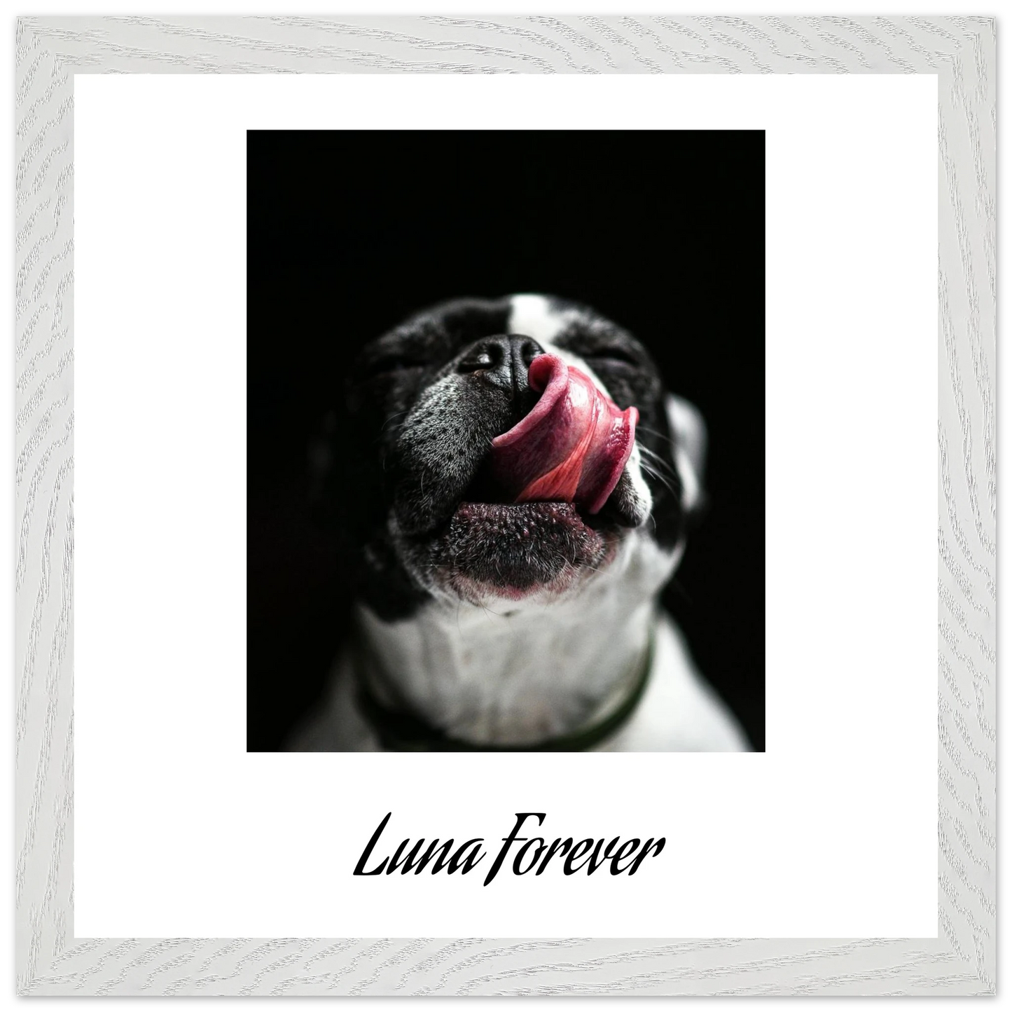 6517cca9-2ee7-4b27-97c7-a3638d07b530