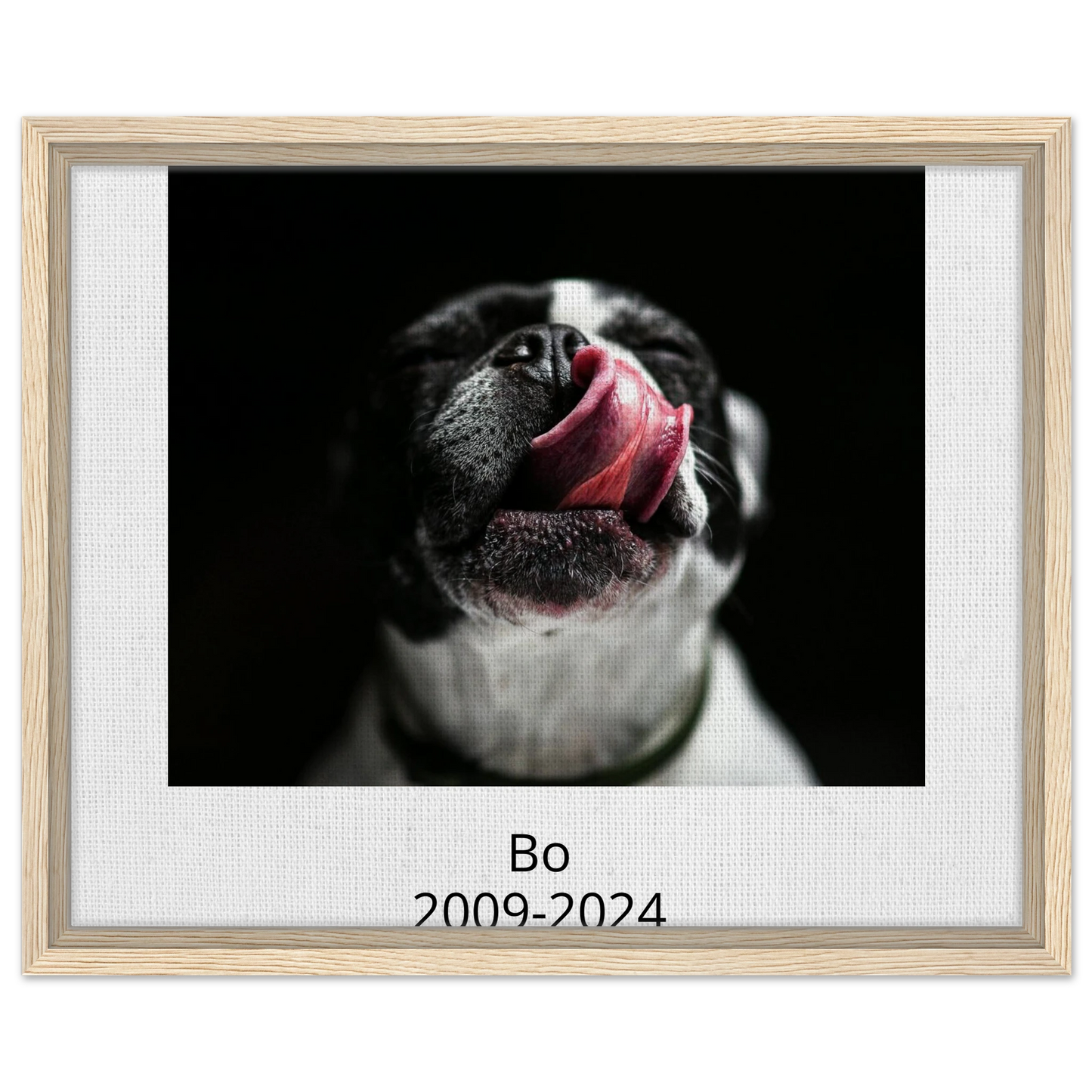 6b840db1-d633-4b51-bd2c-377177804b66