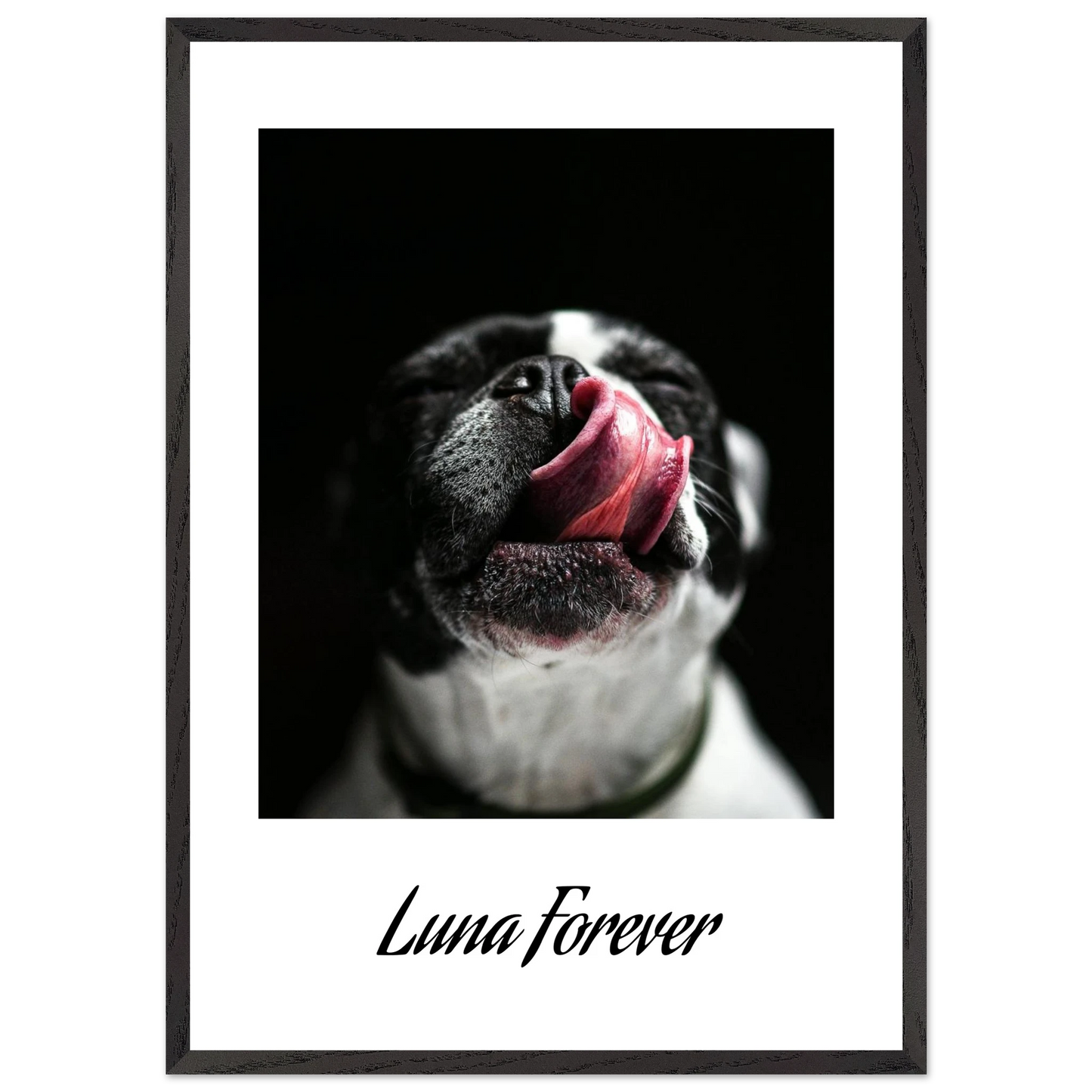 6ba73882-1e0d-4df9-96b3-62b752c4202f