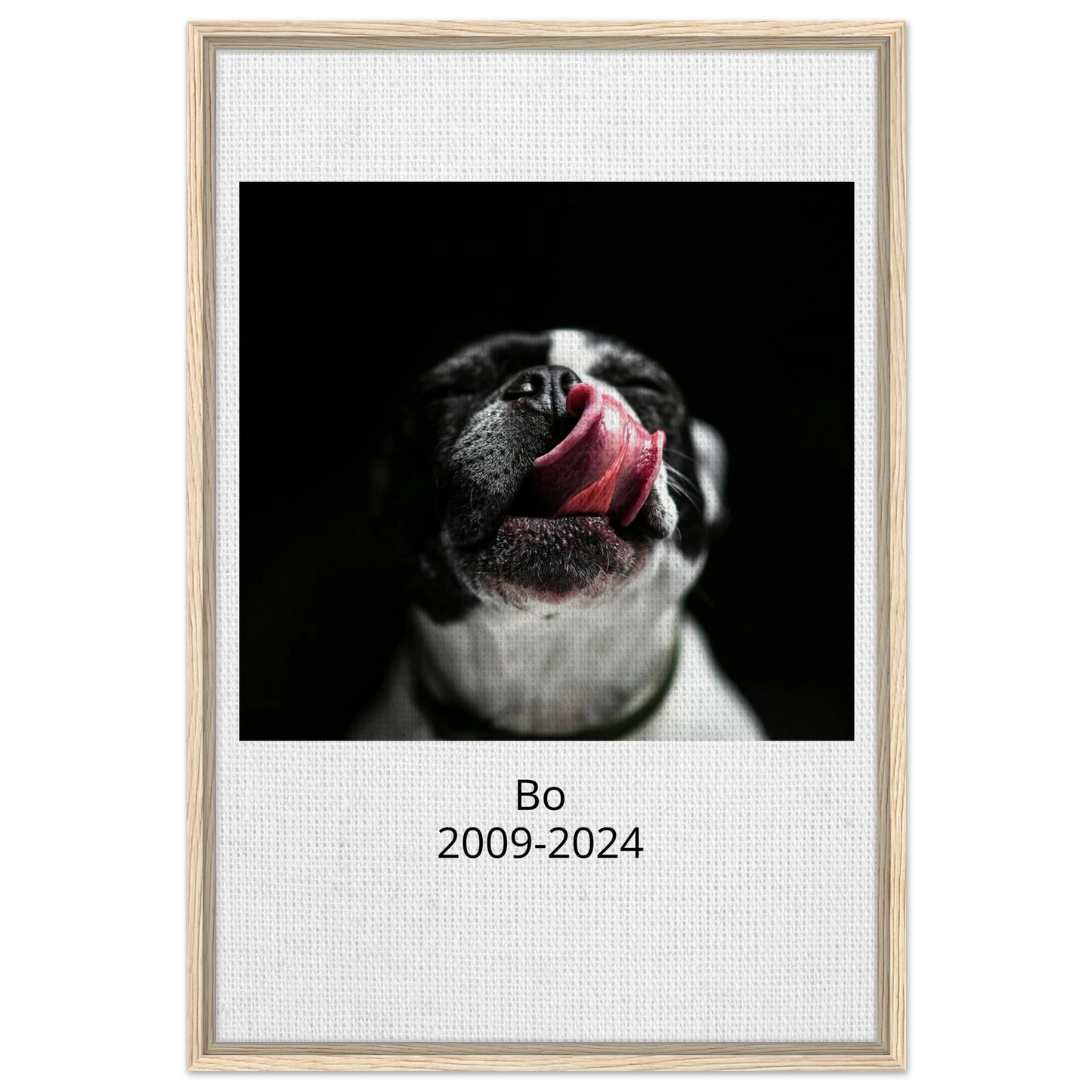6dcefd87-d315-48c6-aa59-b69558f07000