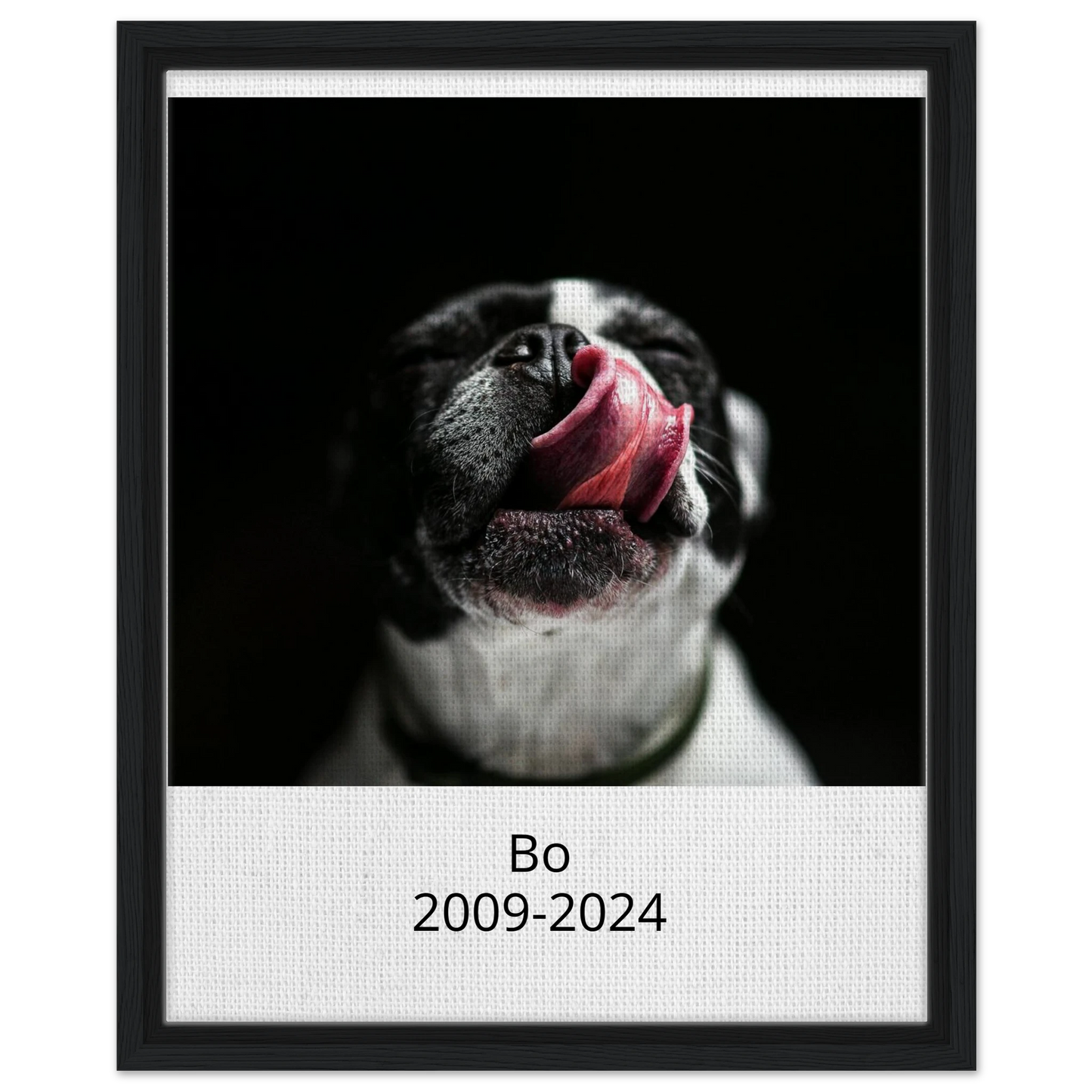 7ca06e8c-dd8c-46ba-8103-2d4a770944e6