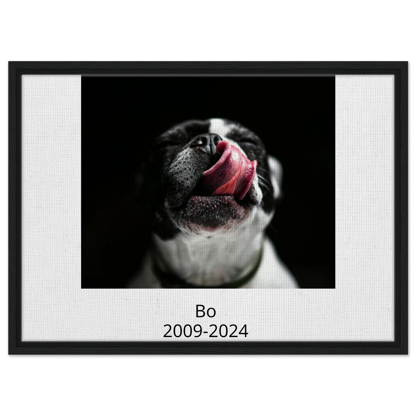 7edb95b5-d1dd-4cd9-9671-c22bdbad5c3a
