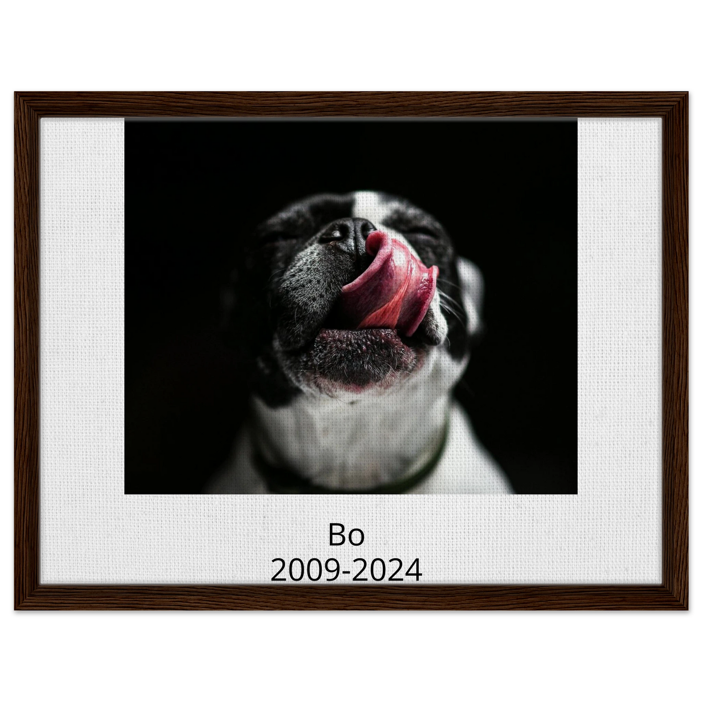 90a19481-9f85-49ea-95f7-0cc8b48832cb