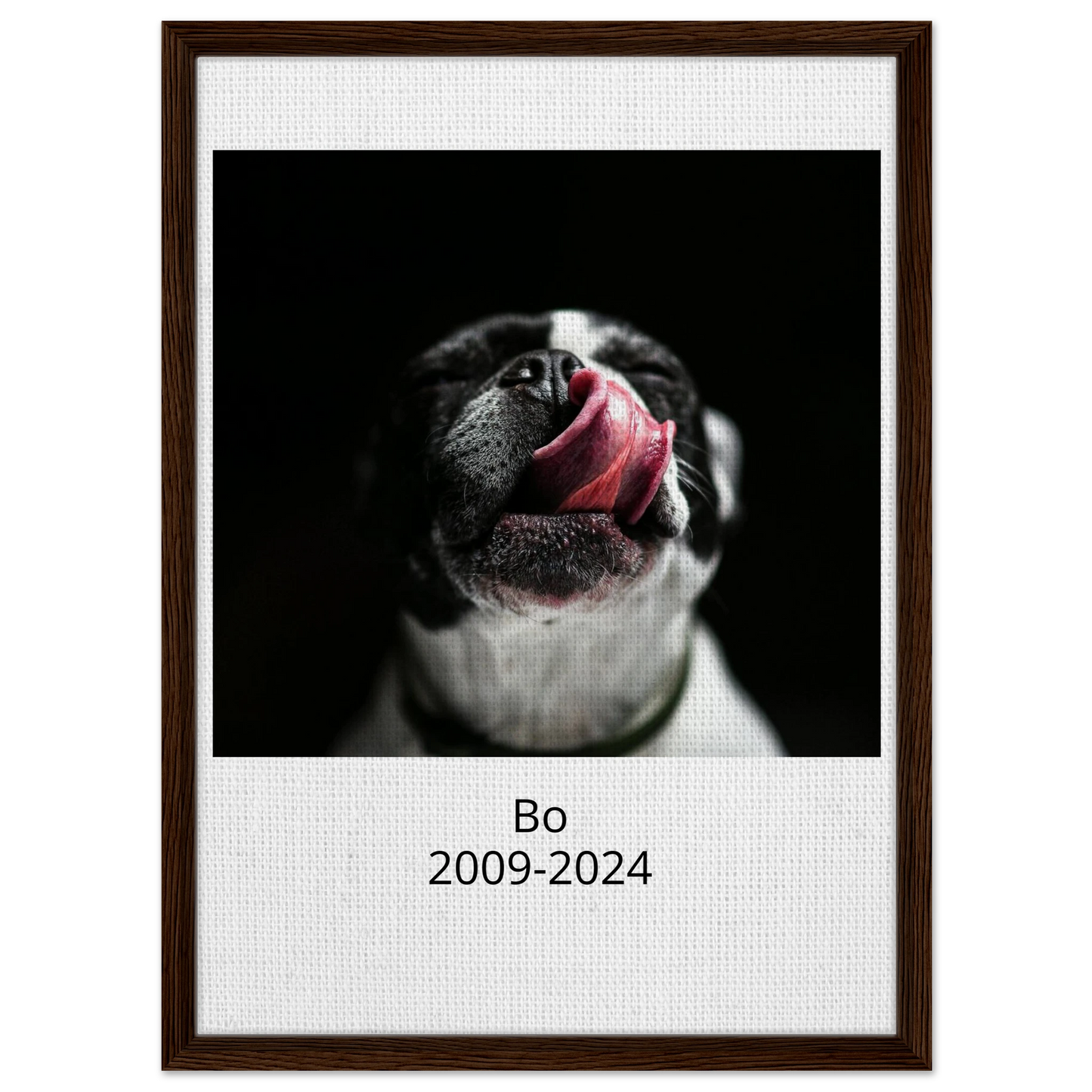 95e5b4a2-870e-4aa0-abfe-13d0f9690bbc