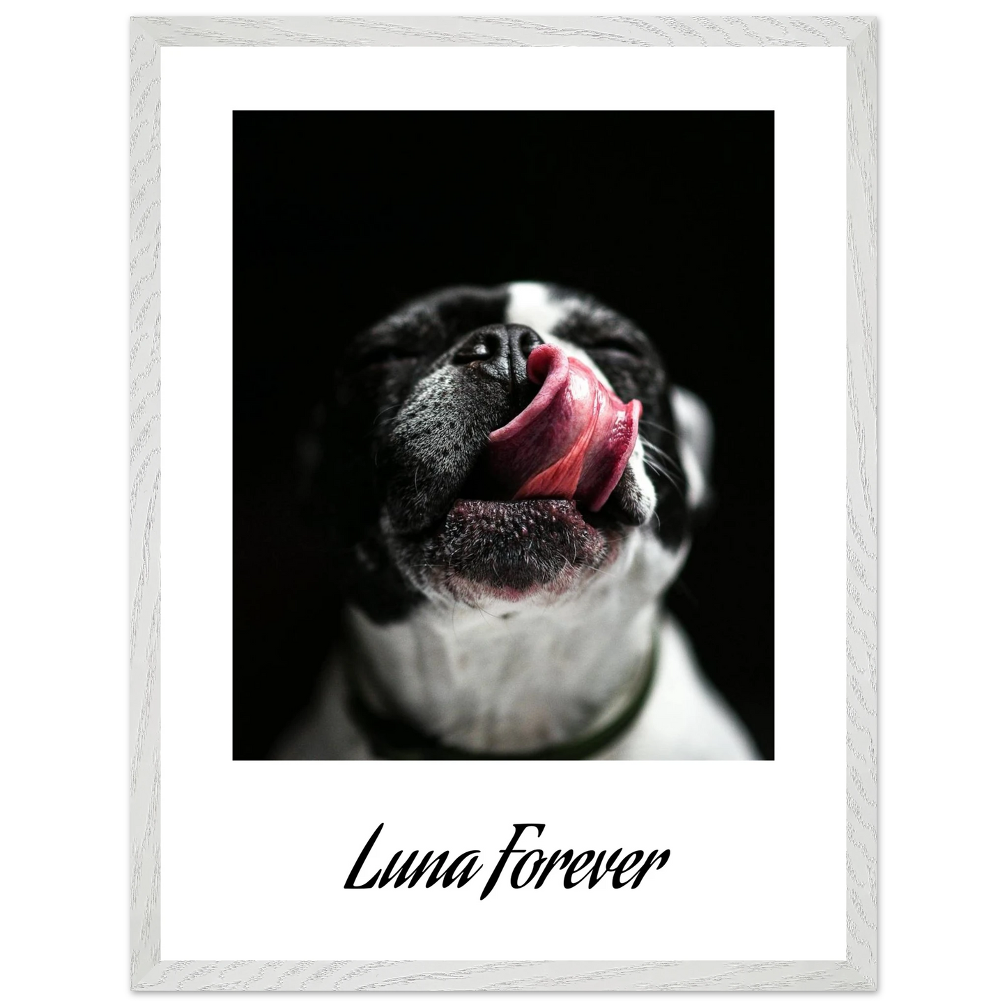 a2a9fd3a-6c60-4f62-9caa-83d99cd6ae01