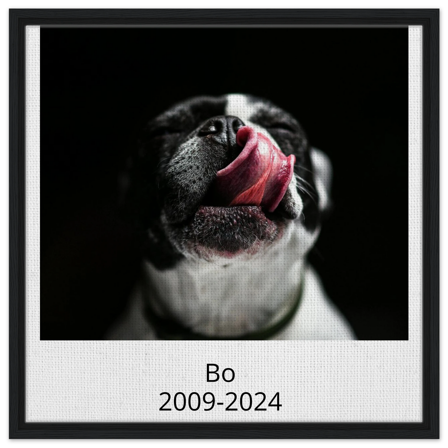 aceb988a-734a-4696-954b-01d3385f5043