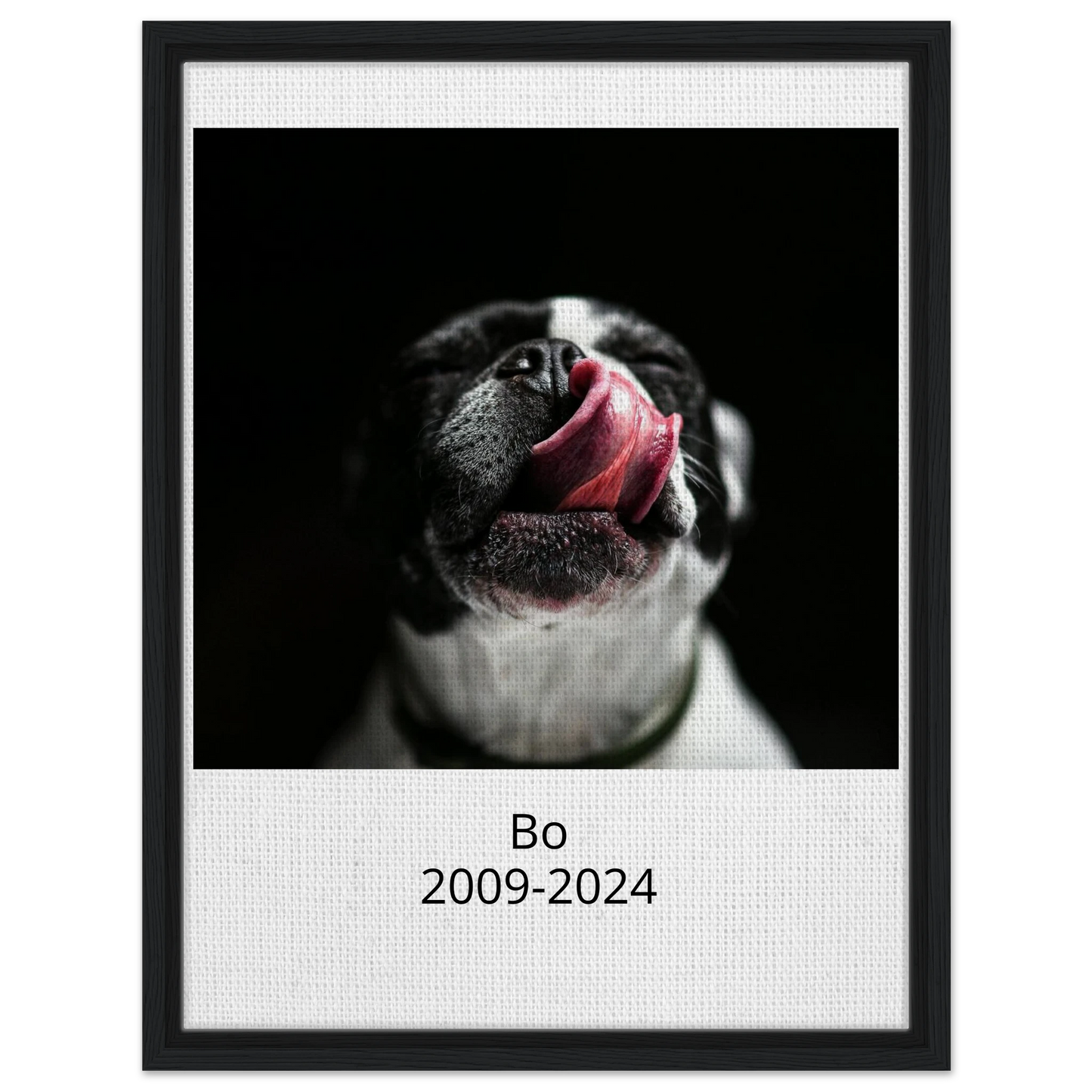 b0813936-1ce2-42d7-b64a-4874b9747c01