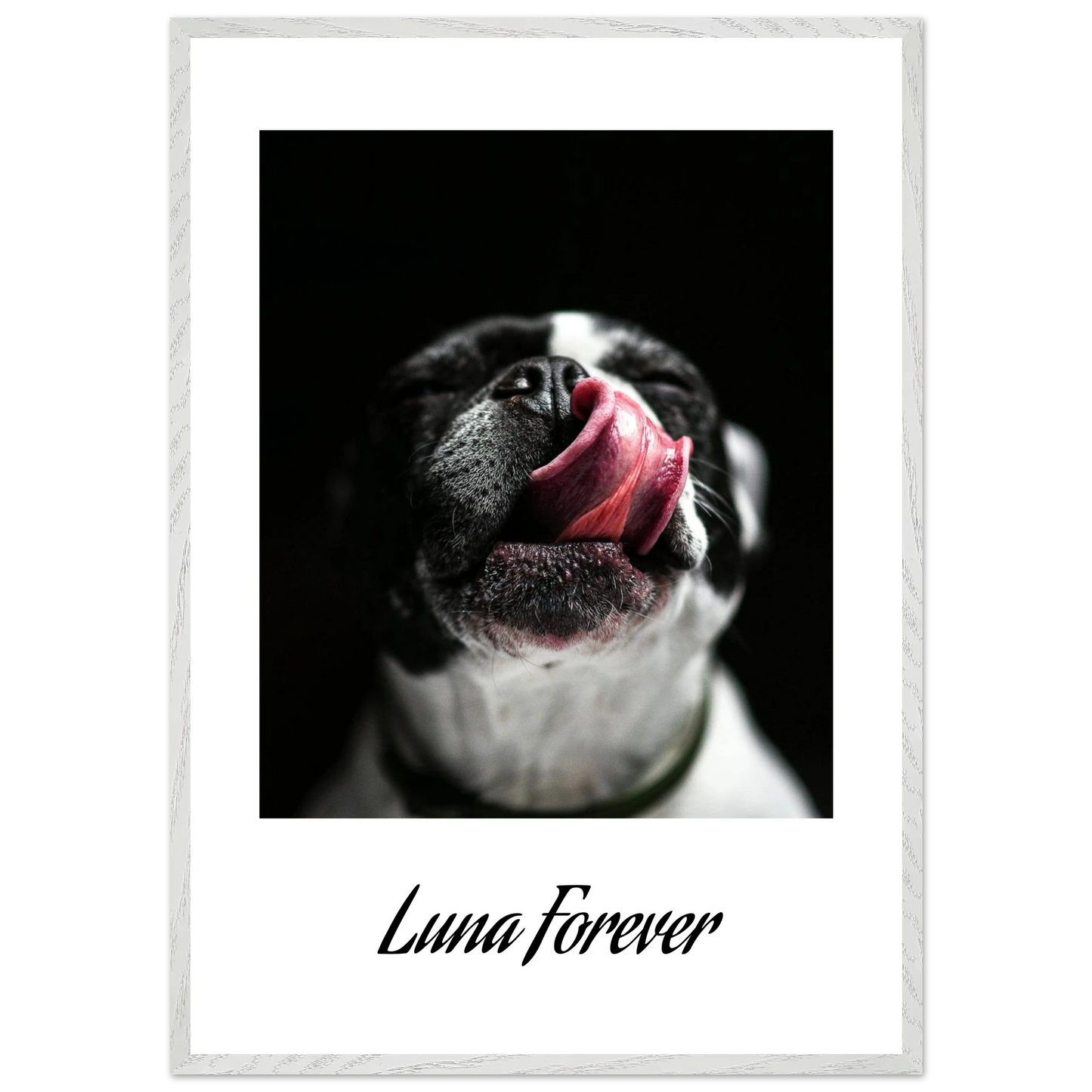 b25c0ab6-7a3e-4e2a-b259-6ff7513a201c