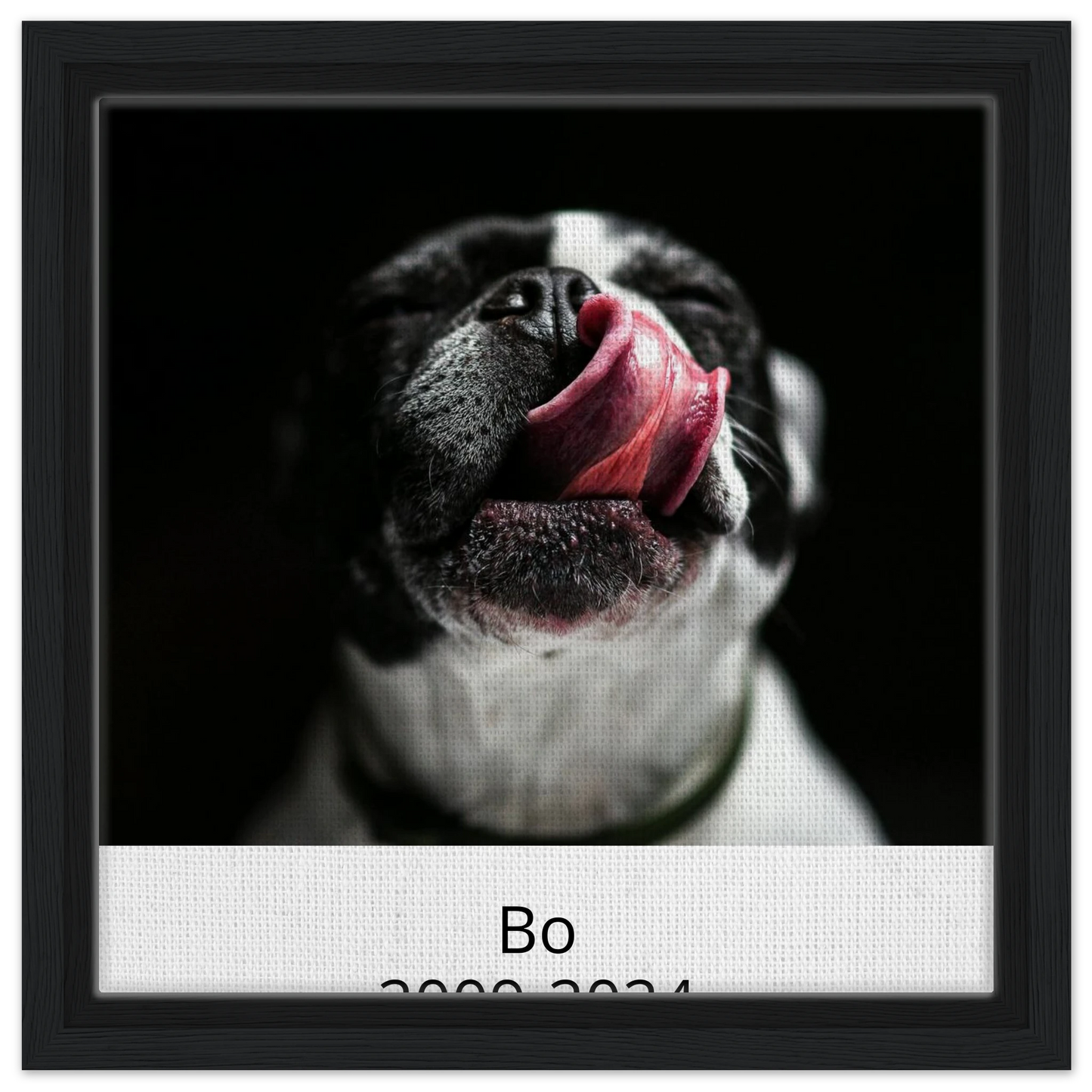 b6ab46b9-1316-4b57-9cb1-fee67485dafc