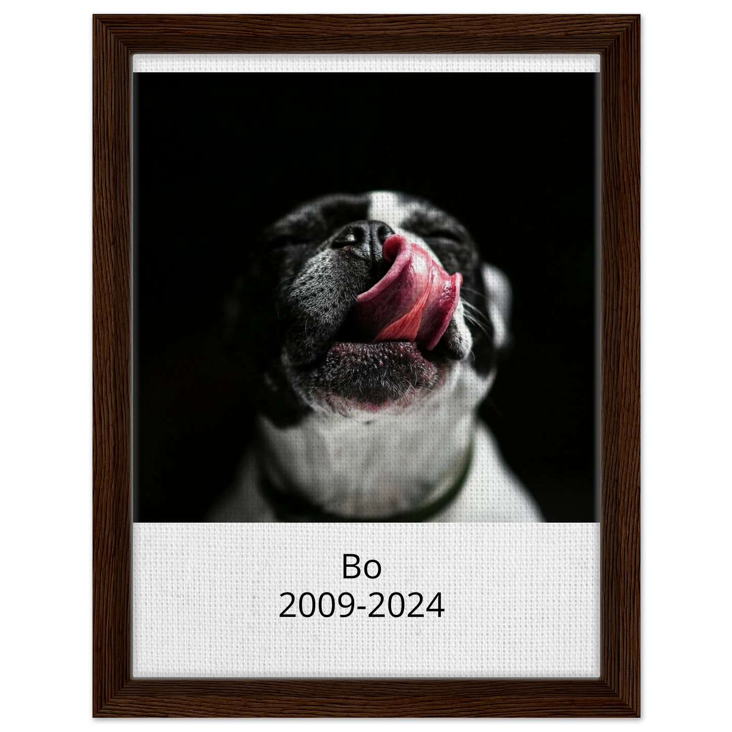 bc500de6-0d27-485c-8797-e583e1b87e74