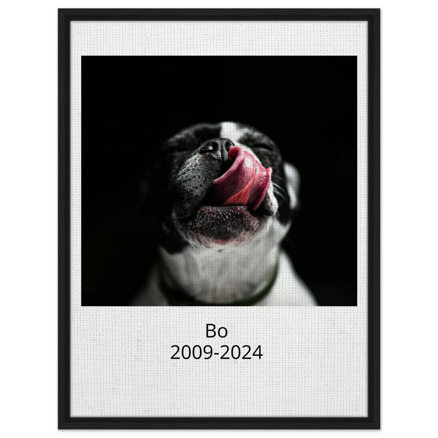 bcb943ee-30d6-4036-bafd-5e8544d86916