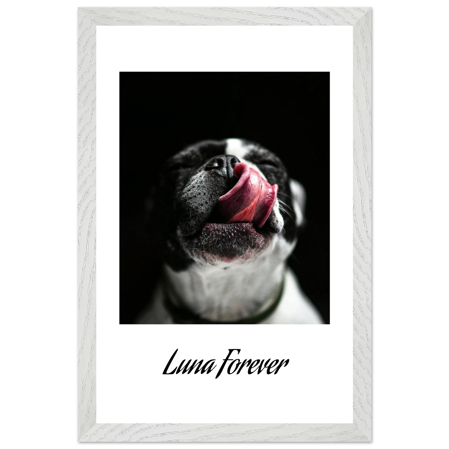 c00d754d-f4a0-4d09-b8d7-346a8e9791cd