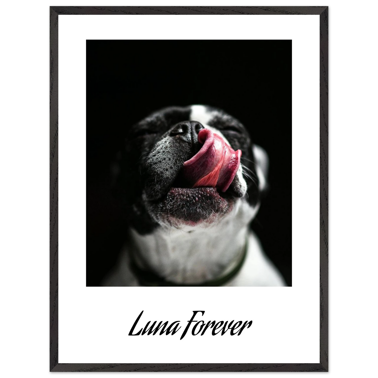 c0fc52bb-91a7-45de-b9b3-41a3956fa44f