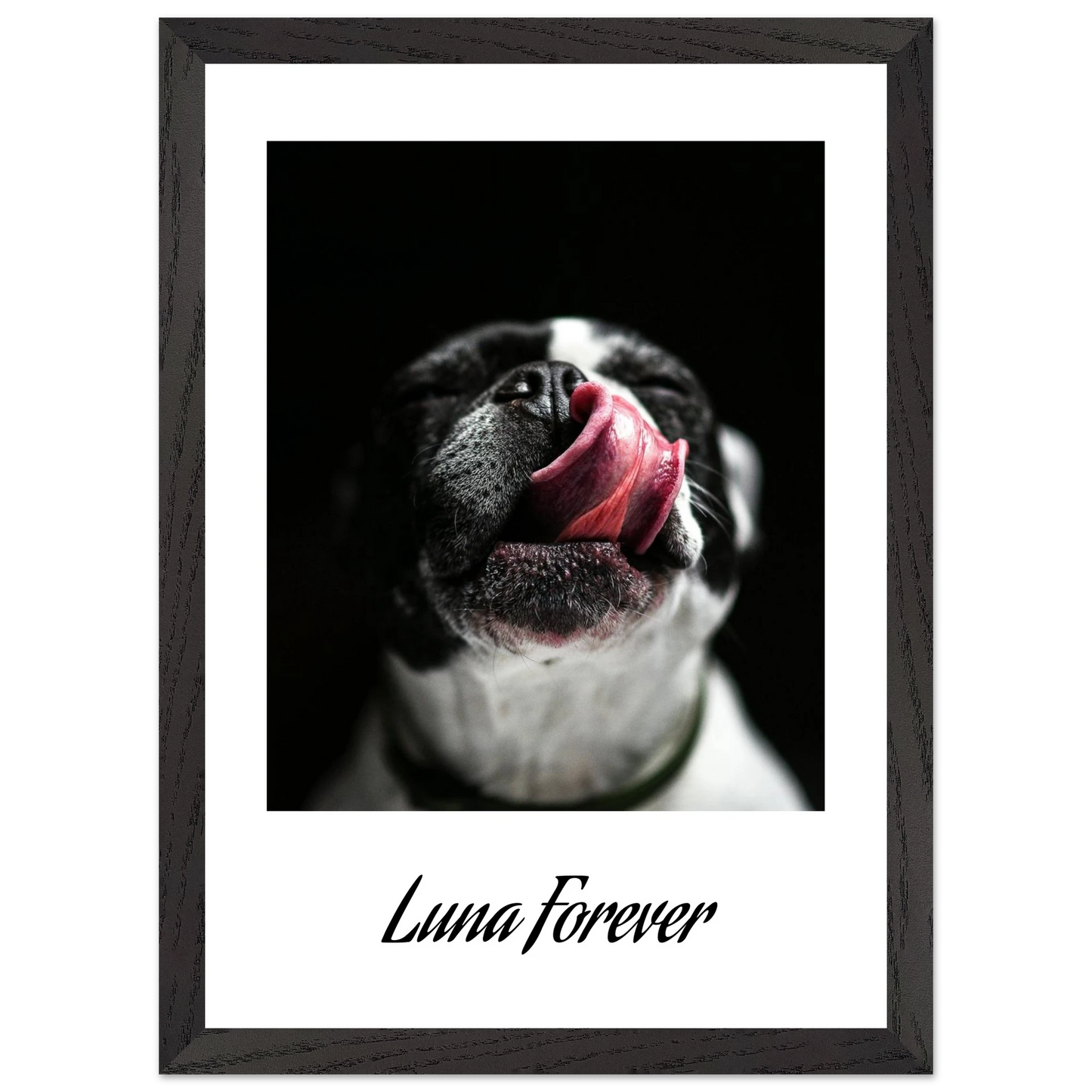 c3150658-142b-4967-98b8-380f8f003474