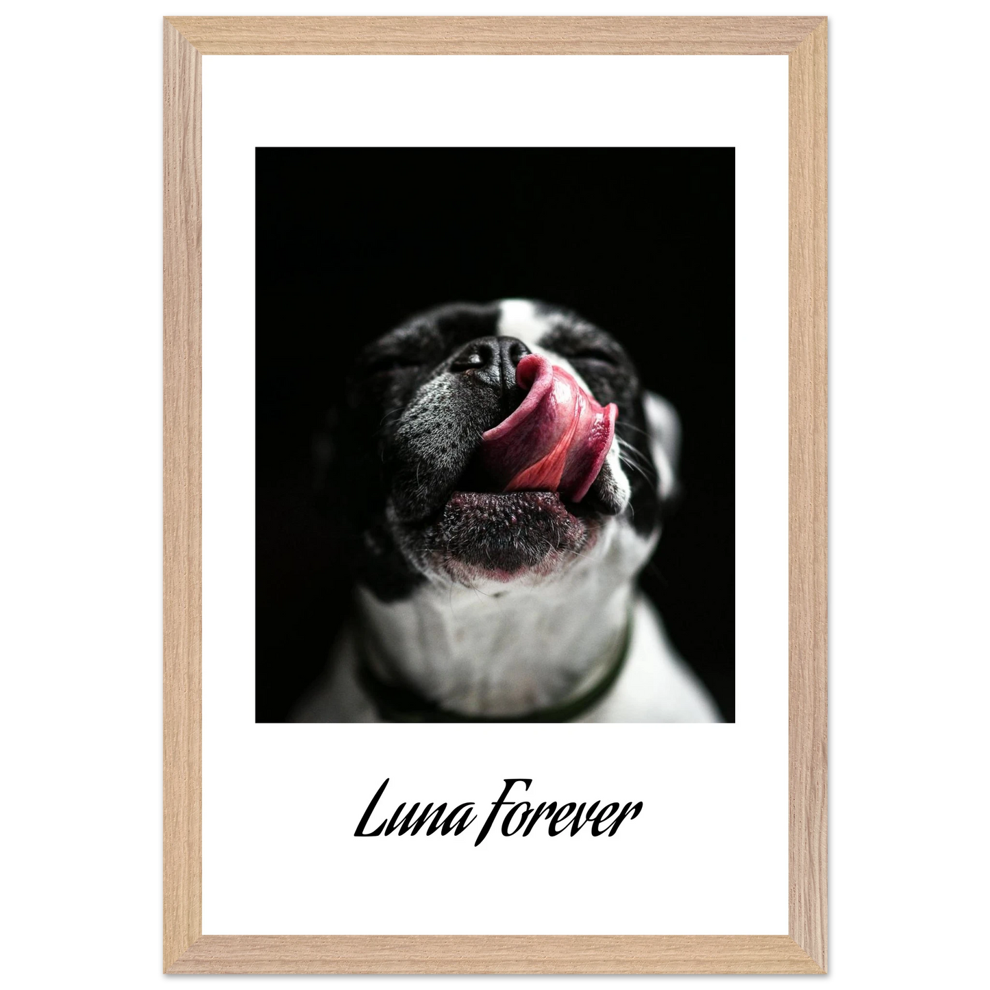 c654b17d-2ff4-47be-abf1-7fac8b35cbed