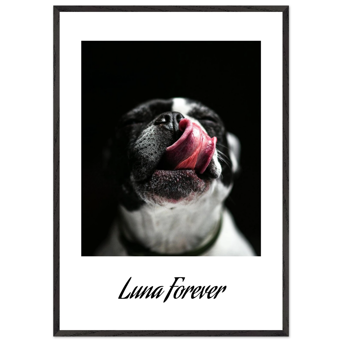 ca3930db-8a30-4437-a34c-a3e10f236eb3