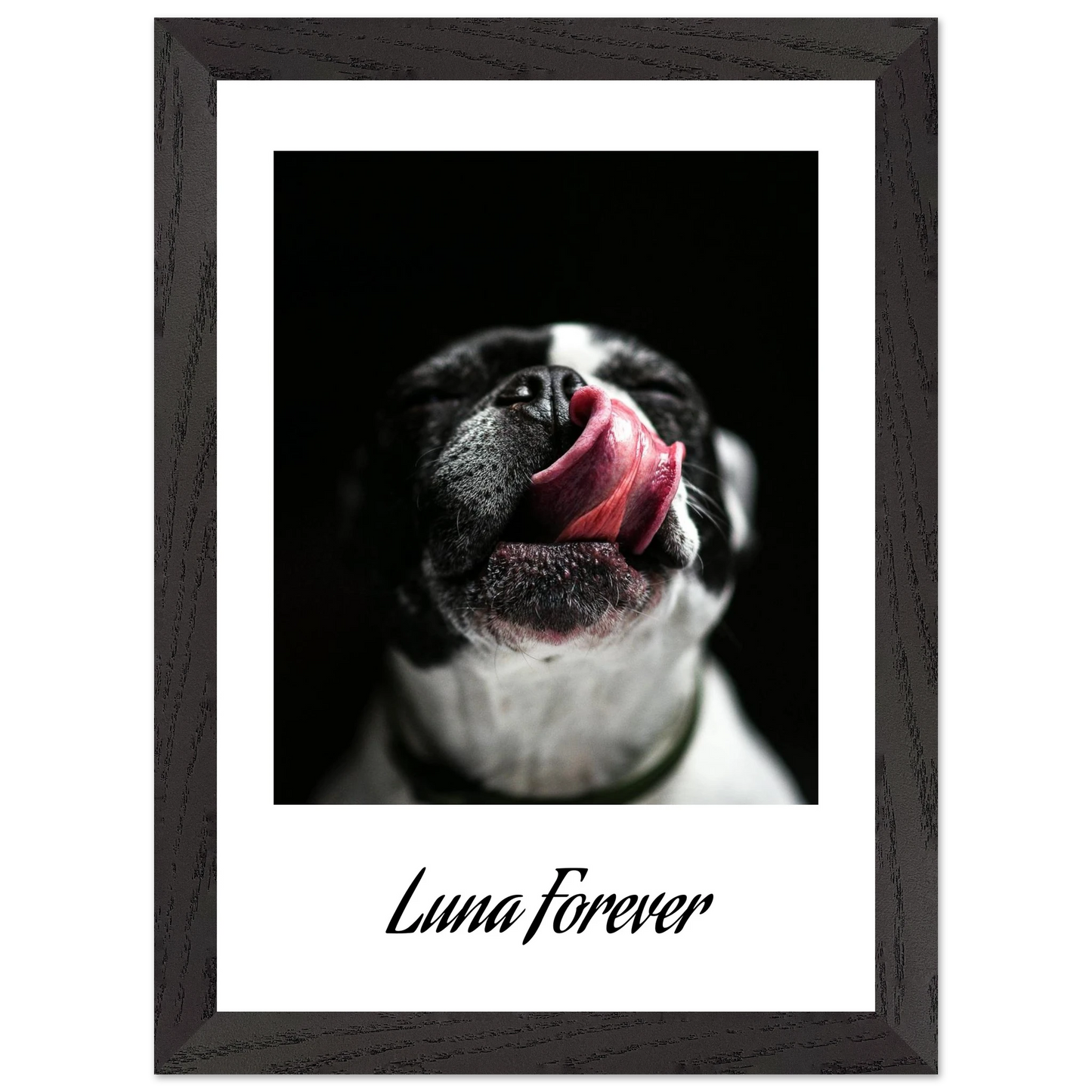 d5b682c1-bb48-4a32-903d-153d51427453