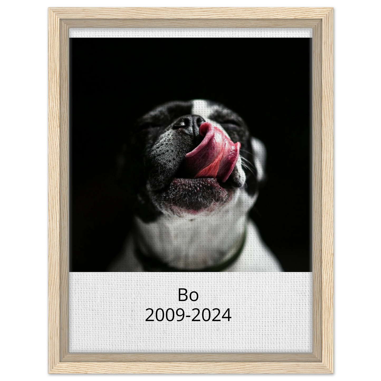 ebdbe3e3-7090-4d5c-8458-b767a00f3360