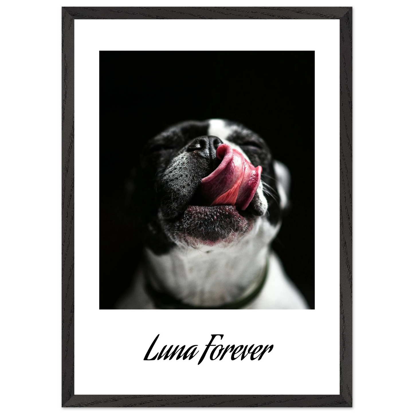 ef66b367-8efe-48e1-bc8f-7b2f73b3d411