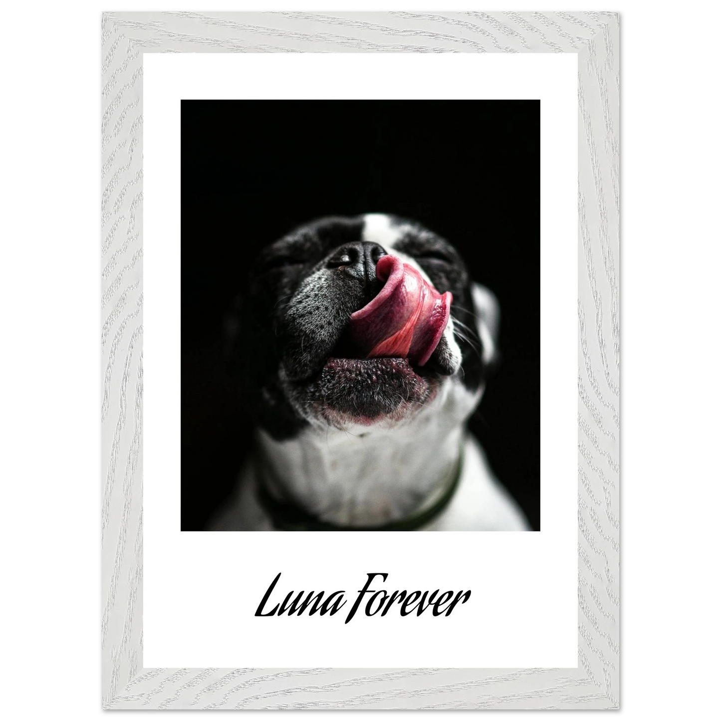 f78849c5-4eb6-4b98-960e-6961d35fd26e