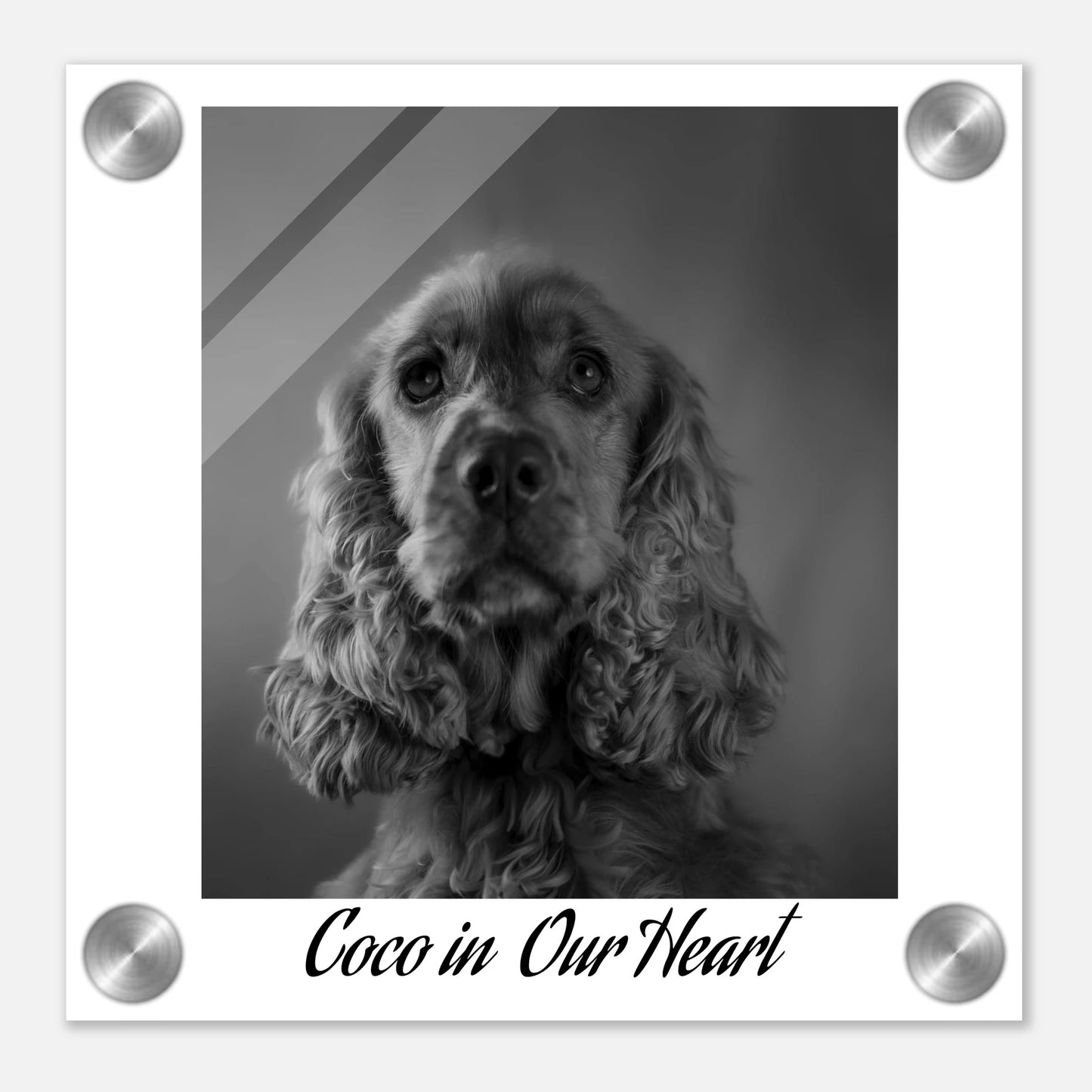 fb0712e8-ca4c-4d2d-9806-520d34140901