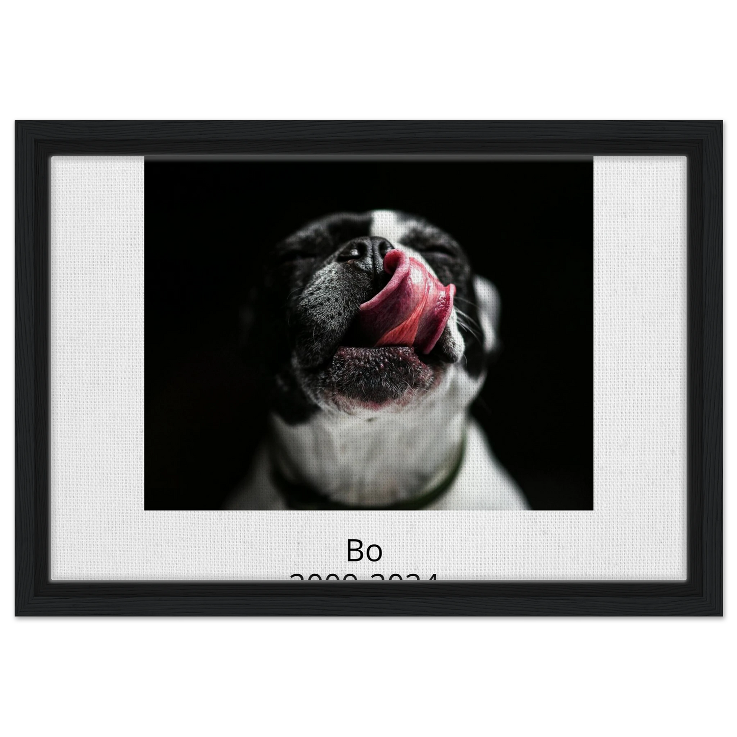 fc613376-acfa-4941-b21c-2fdf9b483fab