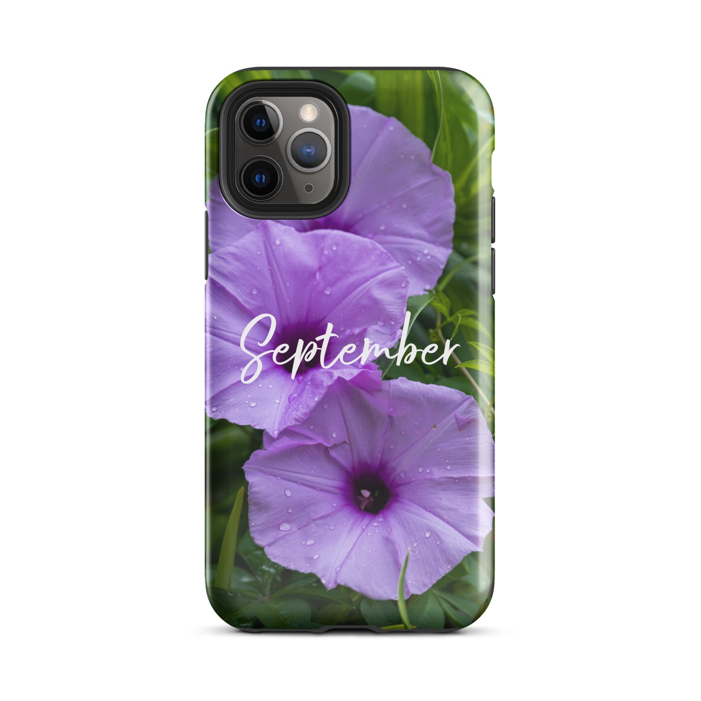 September Birth Flower Tough Case for iPhone® - Rebels Sea