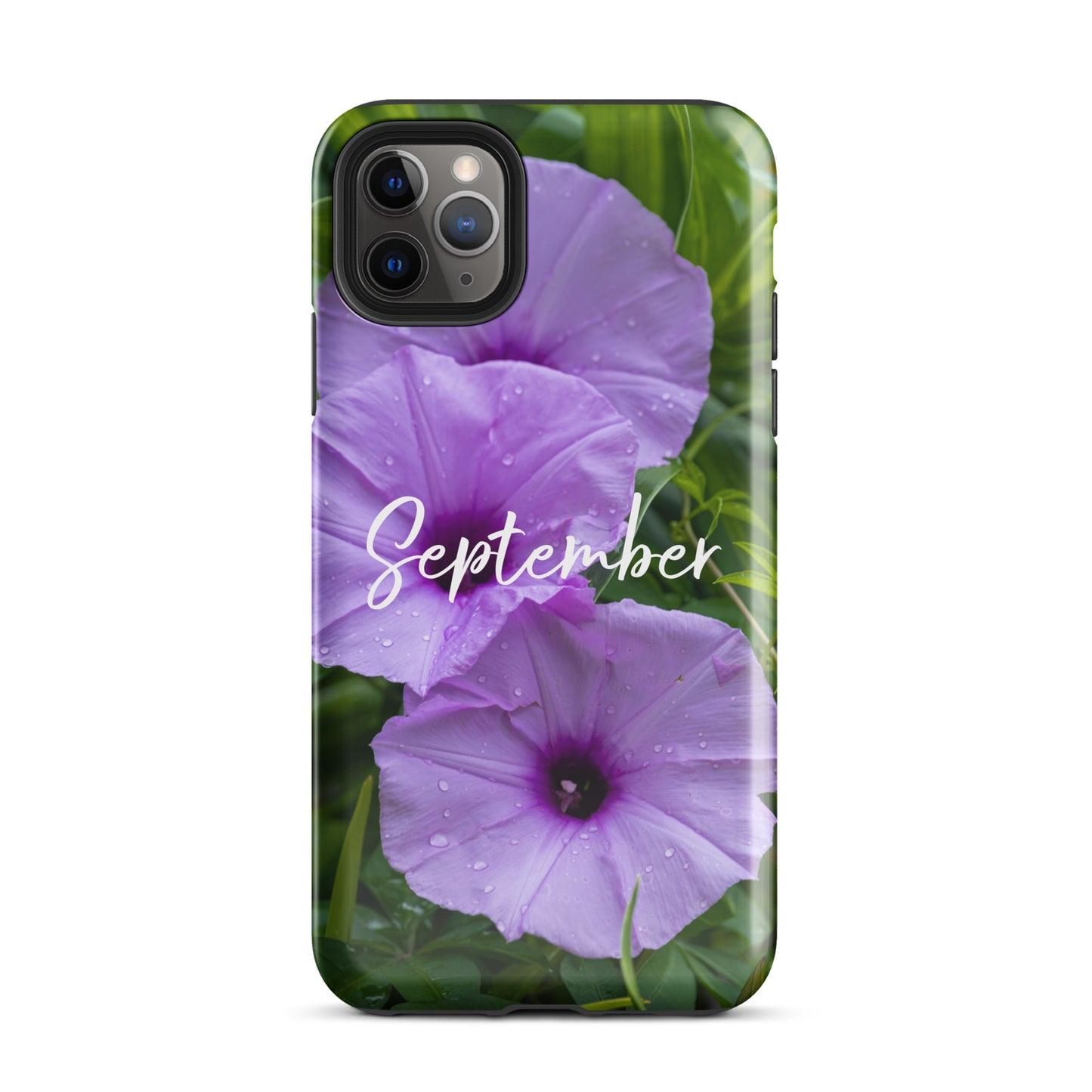 September Birth Flower Tough Case for iPhone® - Rebels Sea