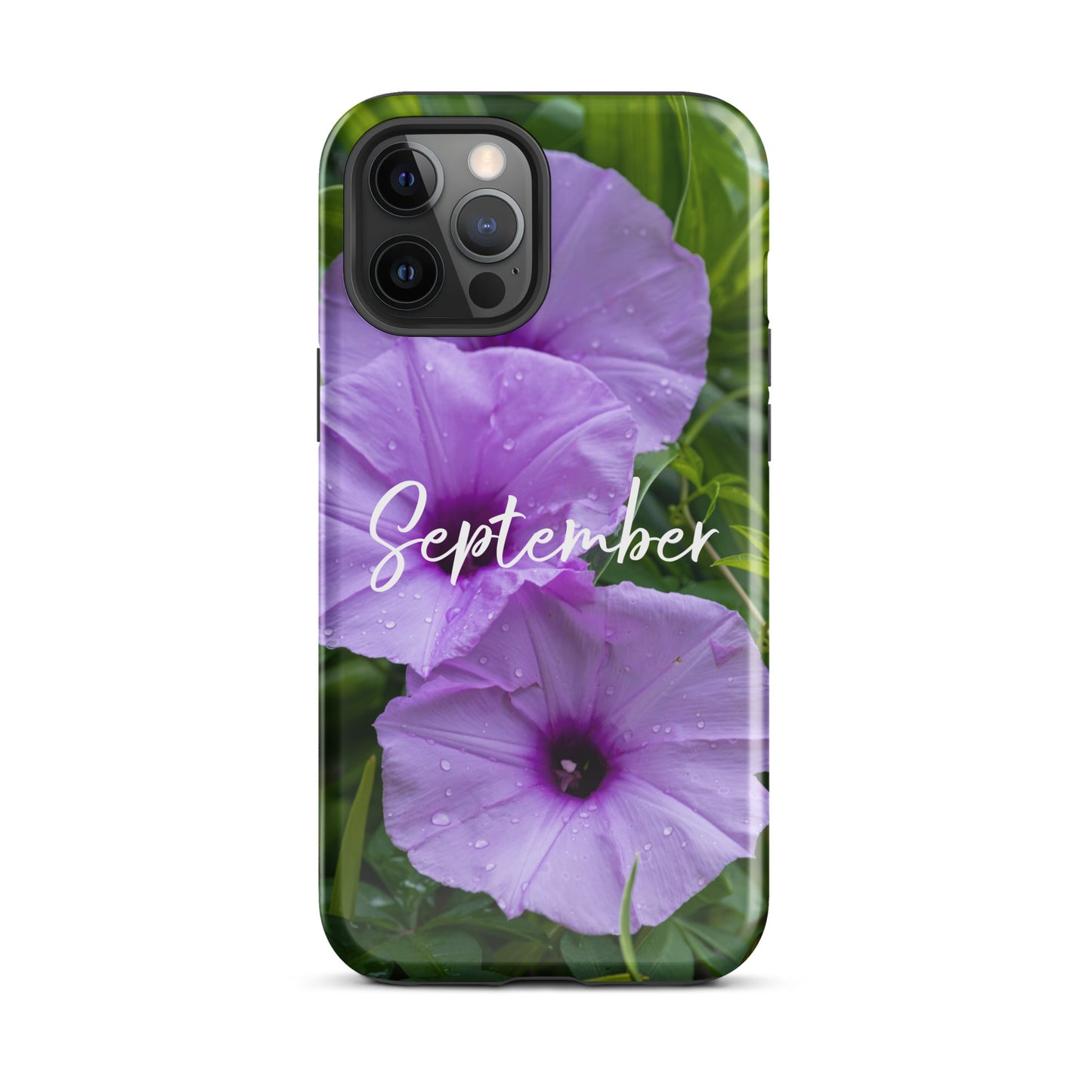 September Birth Flower Tough Case for iPhone® - Rebels Sea