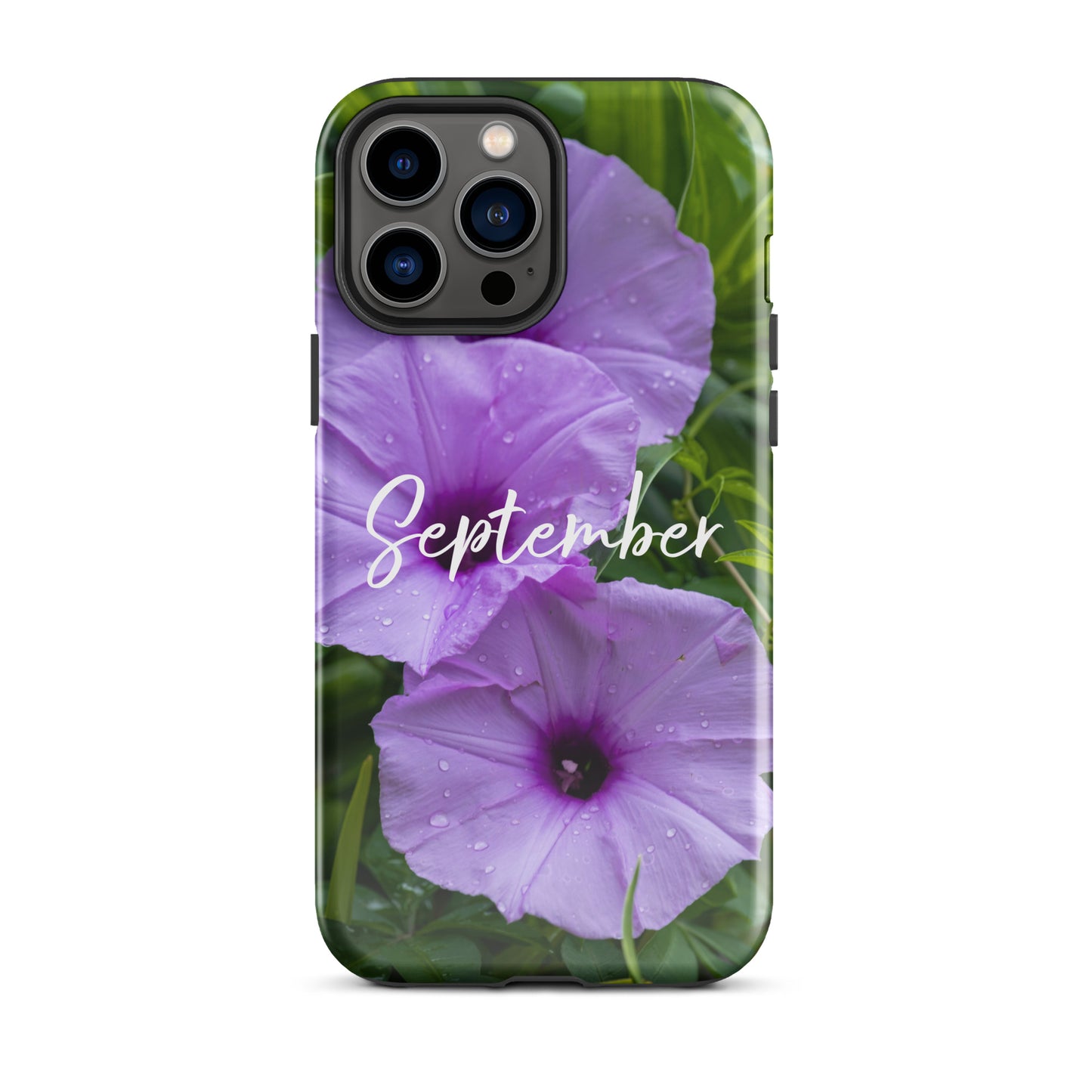 September Birth Flower Tough Case for iPhone® - Rebels Sea