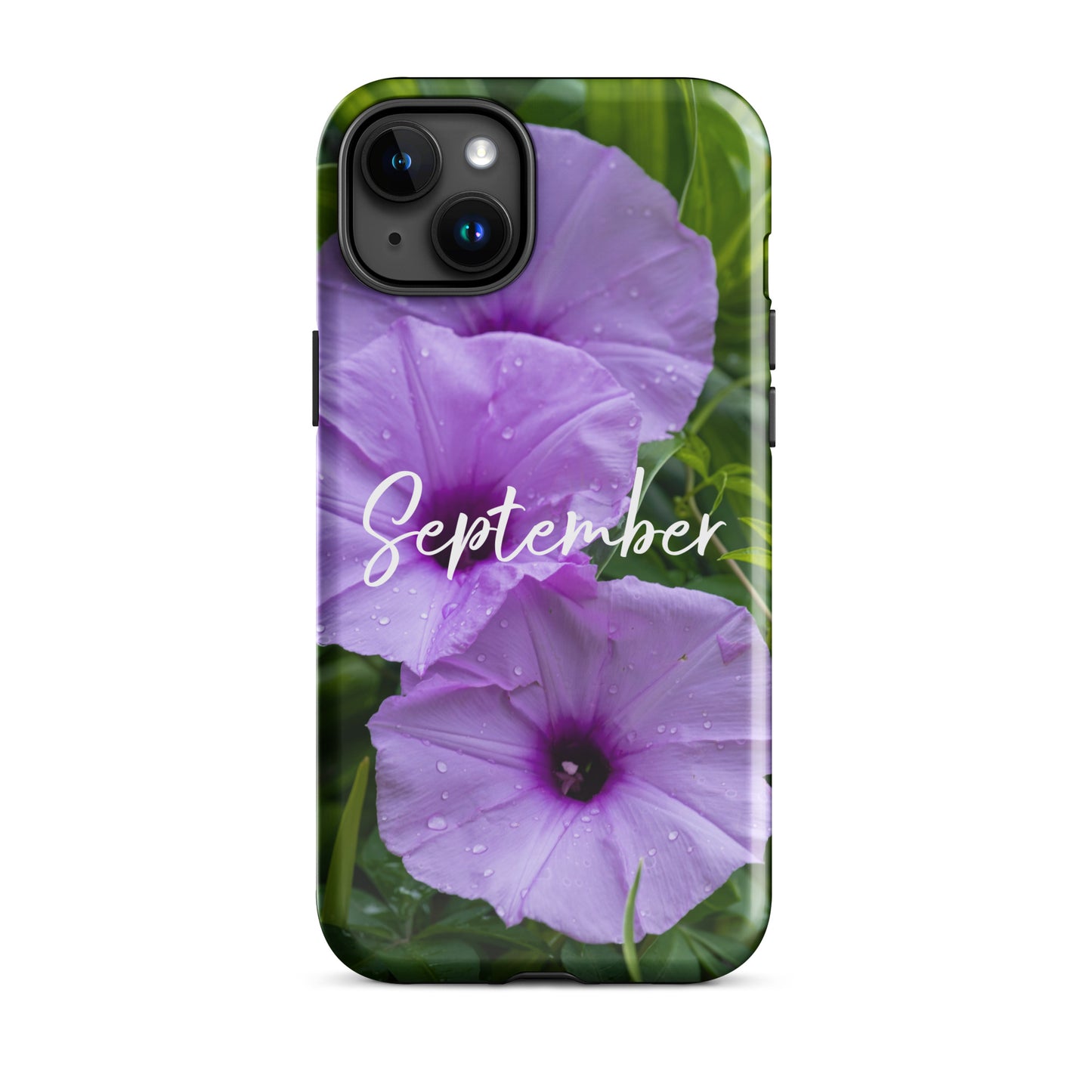 September Birth Flower Tough Case for iPhone® - Rebels Sea