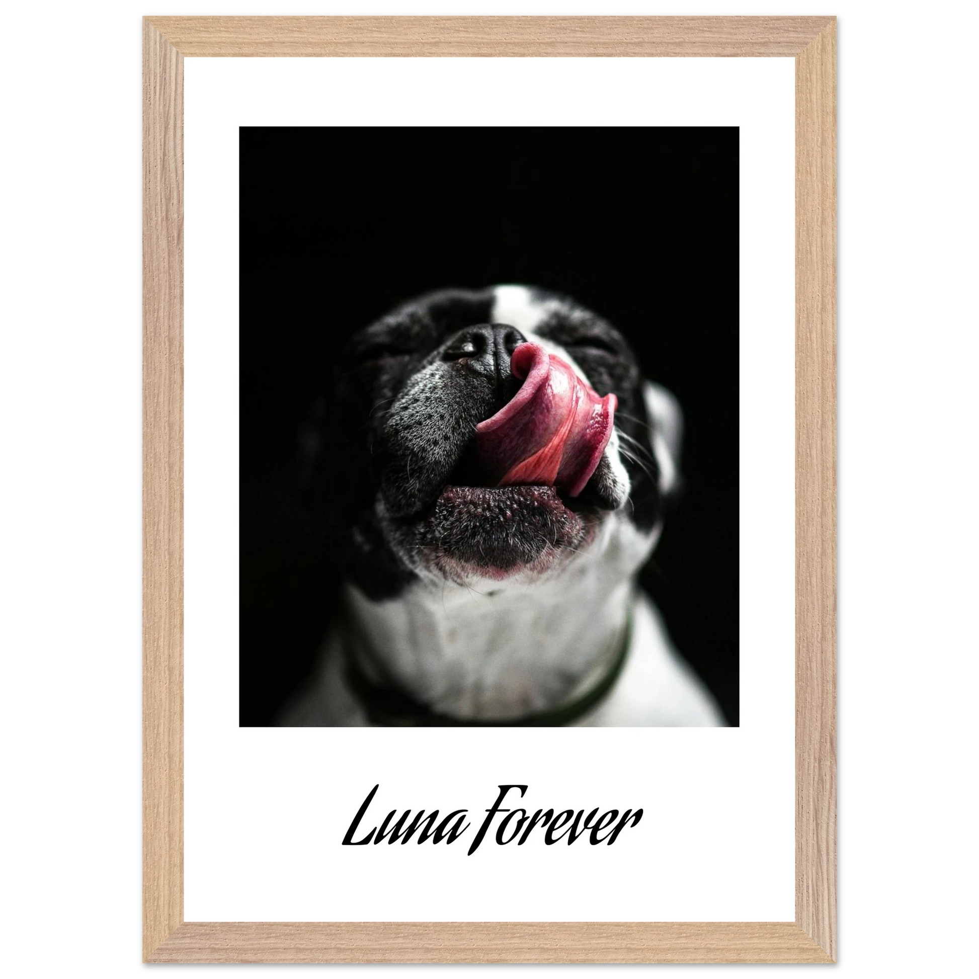 012a7436-1c3b-4d8b-97da-c3bf3d881c5f