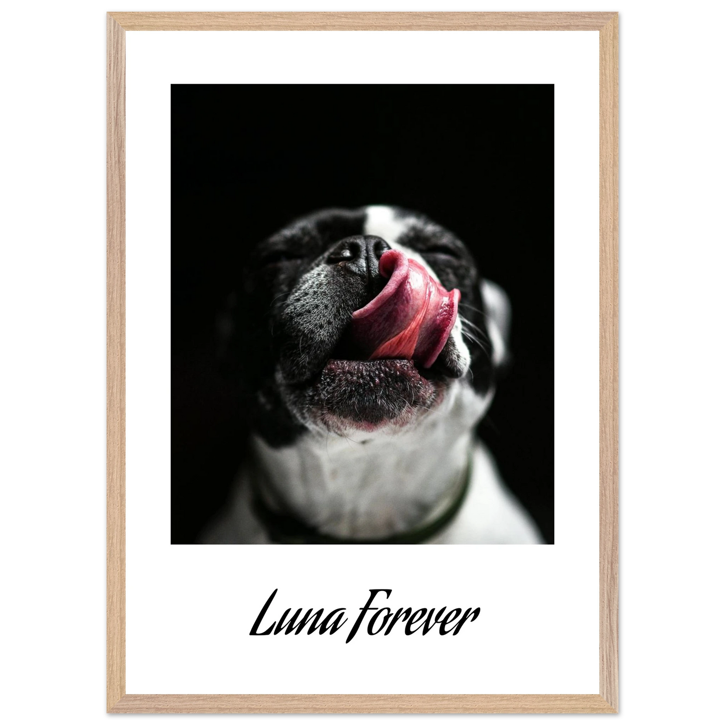 05172db6-0f56-4827-ae45-3035ed1f782d