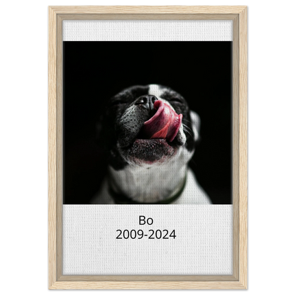 092e2267-b378-46e3-b320-dd27f89d157b