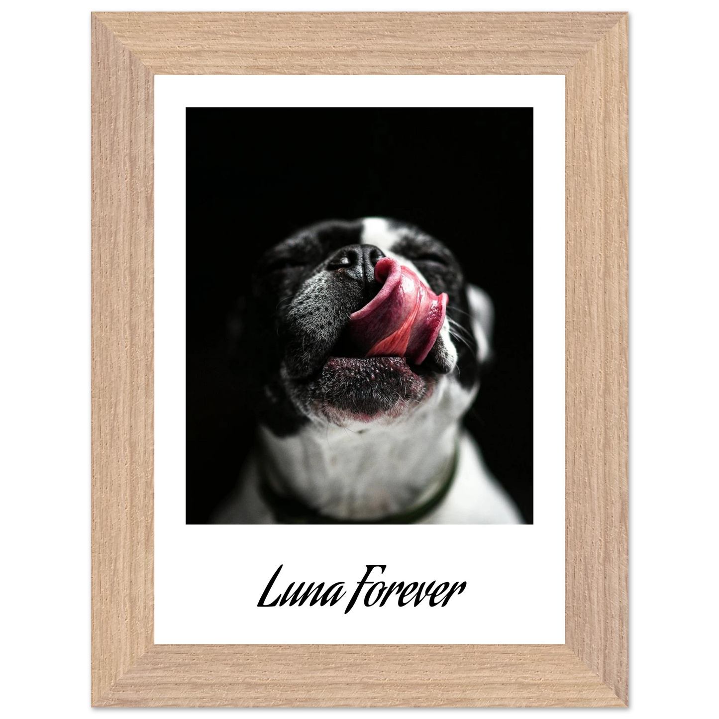 11dc1f2f-e09d-4ce9-86f5-16ba7e751d5c