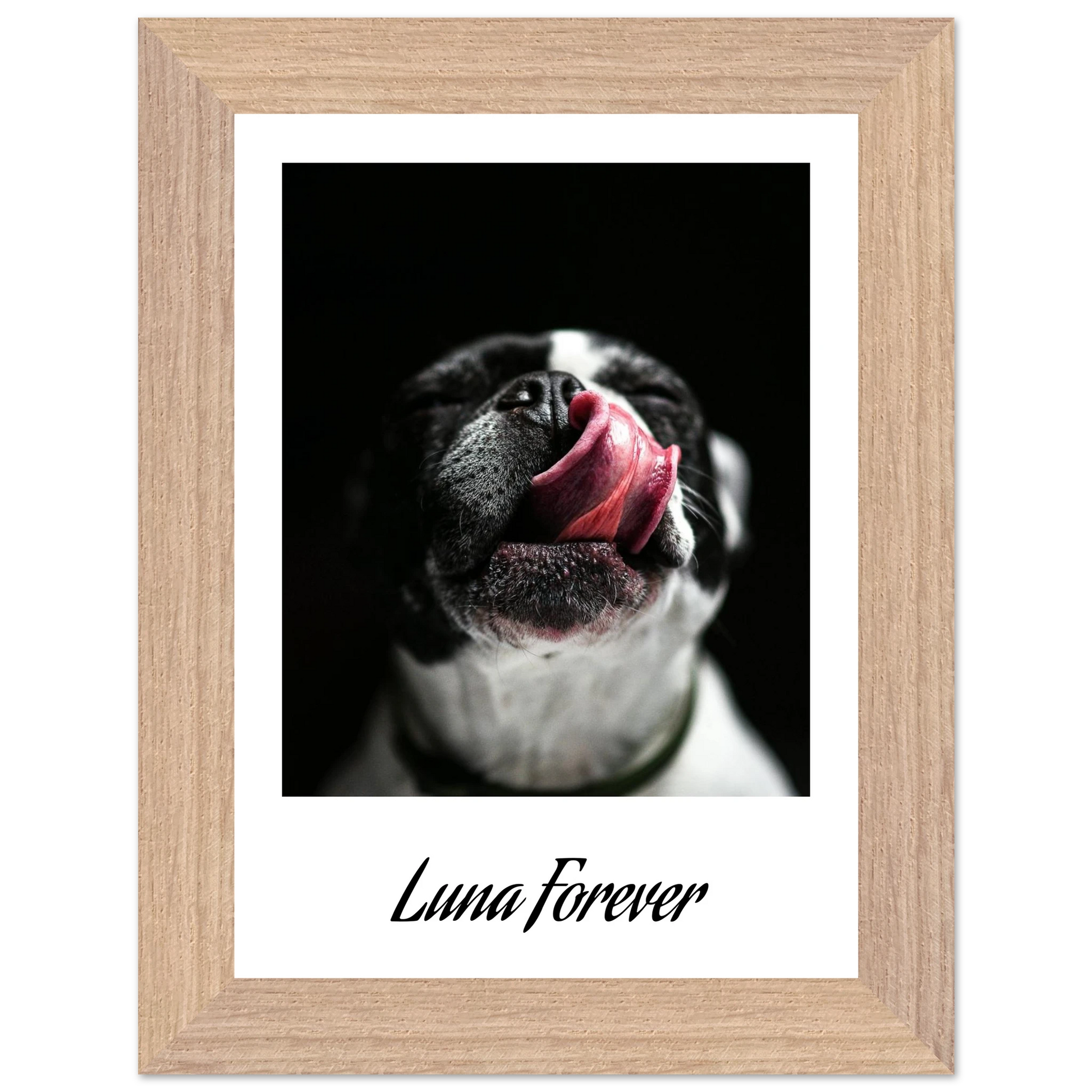 11dc1f2f-e09d-4ce9-86f5-16ba7e751d5c