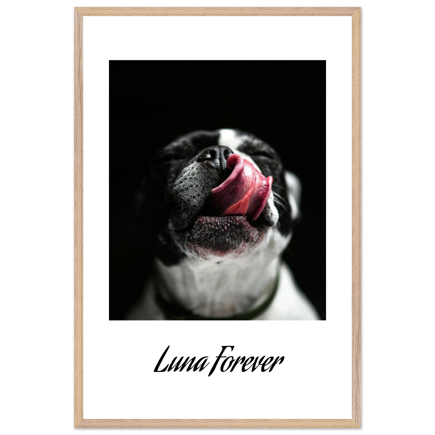 14534978-e430-47c0-88f6-e51a61afb59a