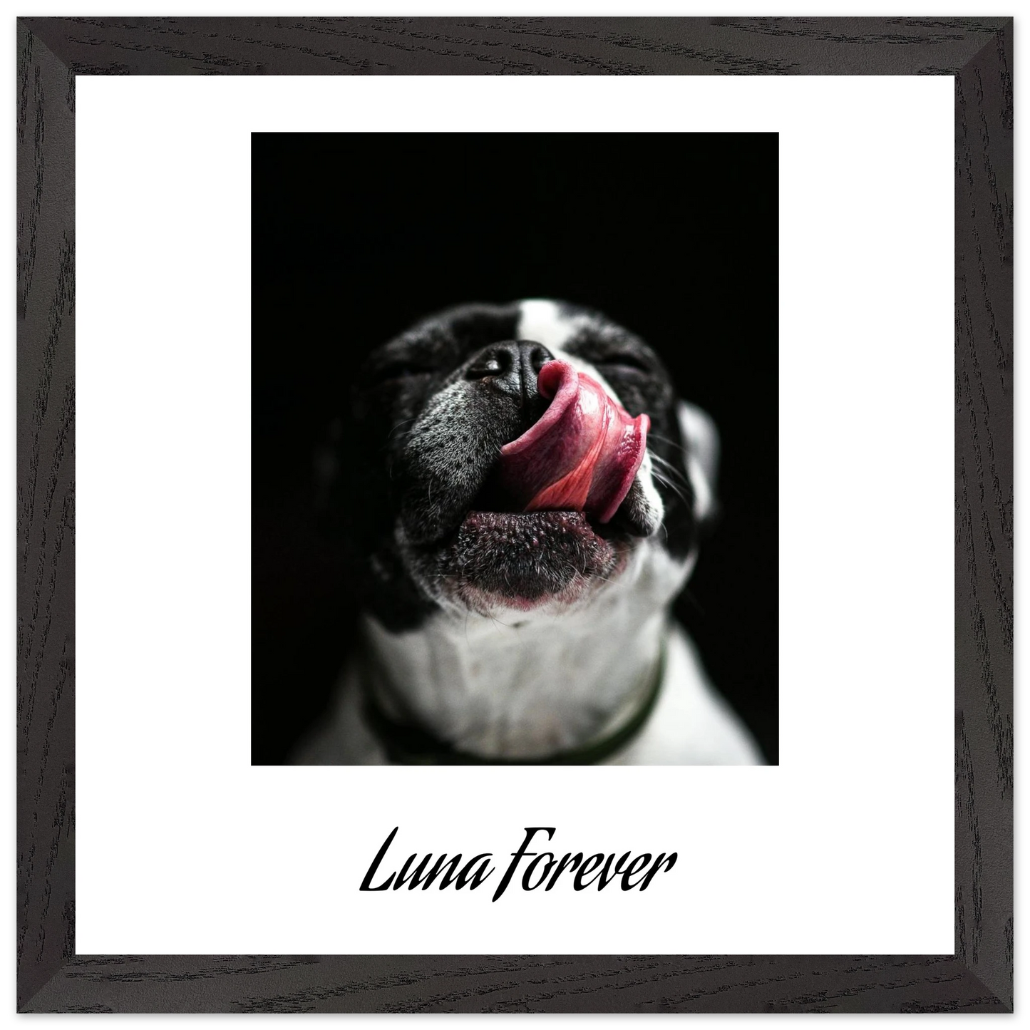 15195065-b1a5-4e86-b031-072b1f24054b