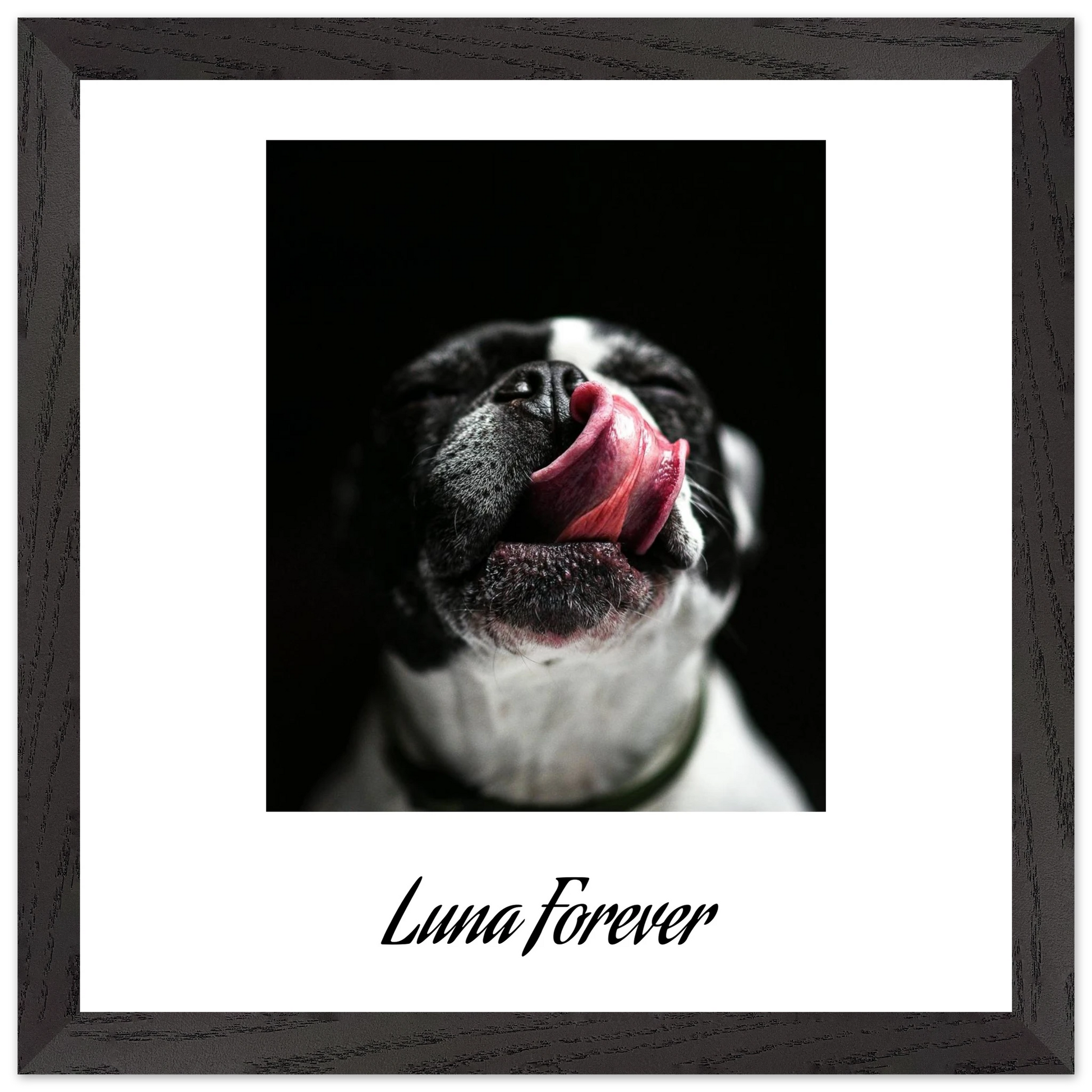 15195065-b1a5-4e86-b031-072b1f24054b