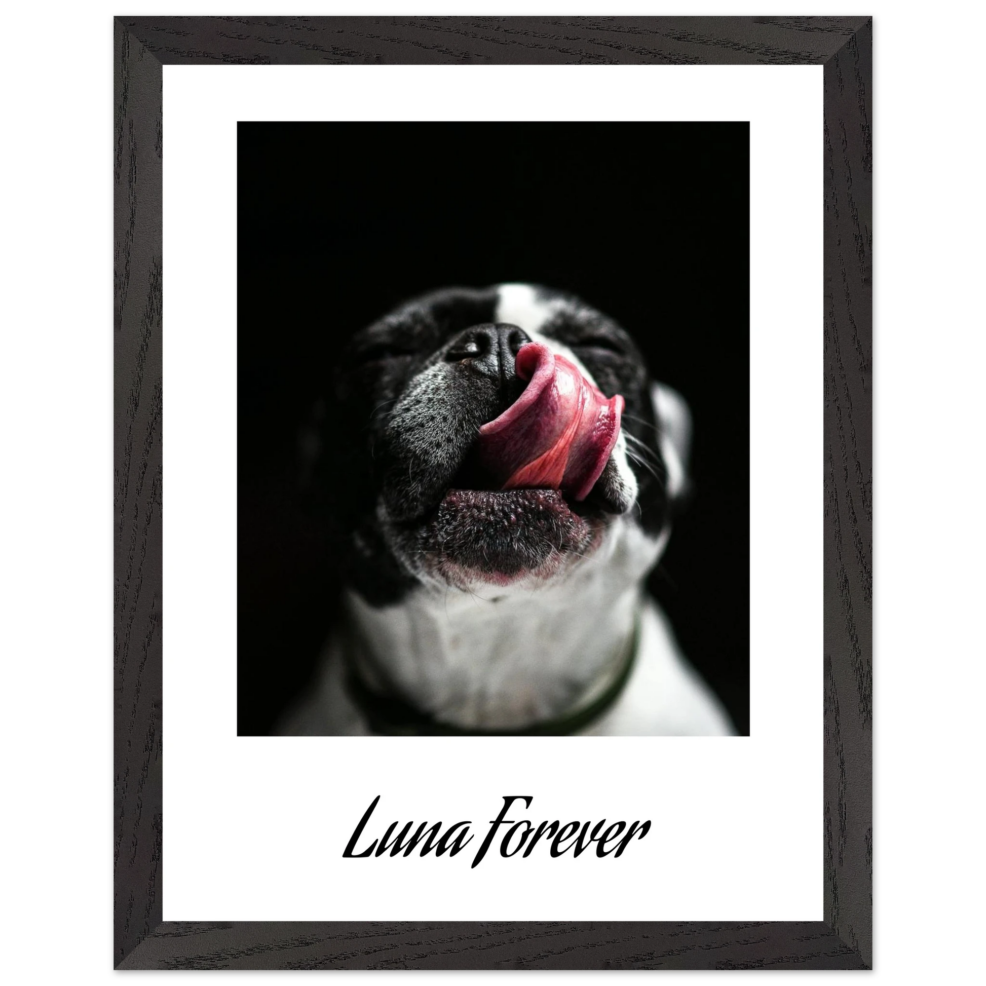 15ebe60f-f62b-441e-bdb6-a20b6aad412a